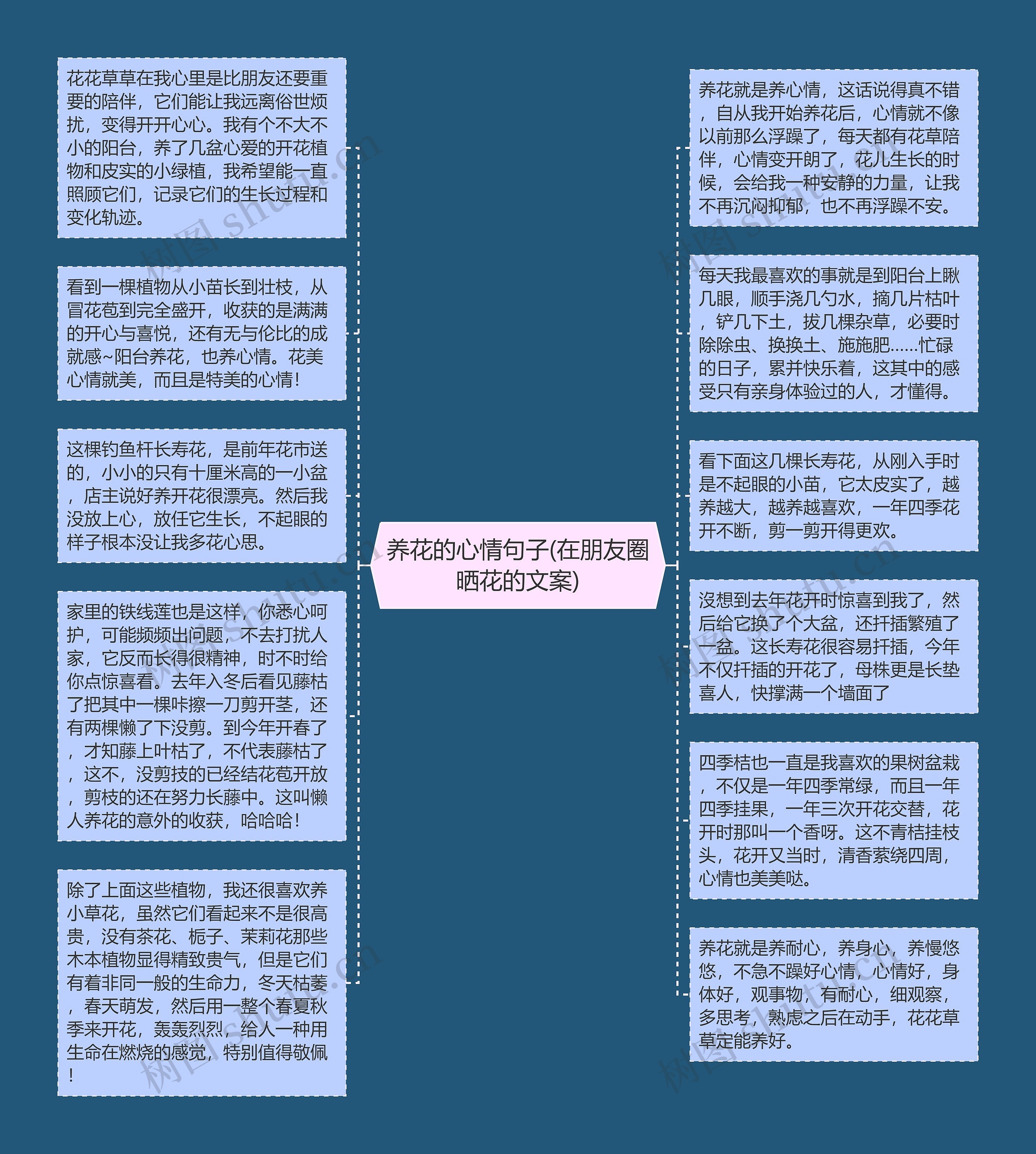 养花的心情句子(在朋友圈晒花的文案)