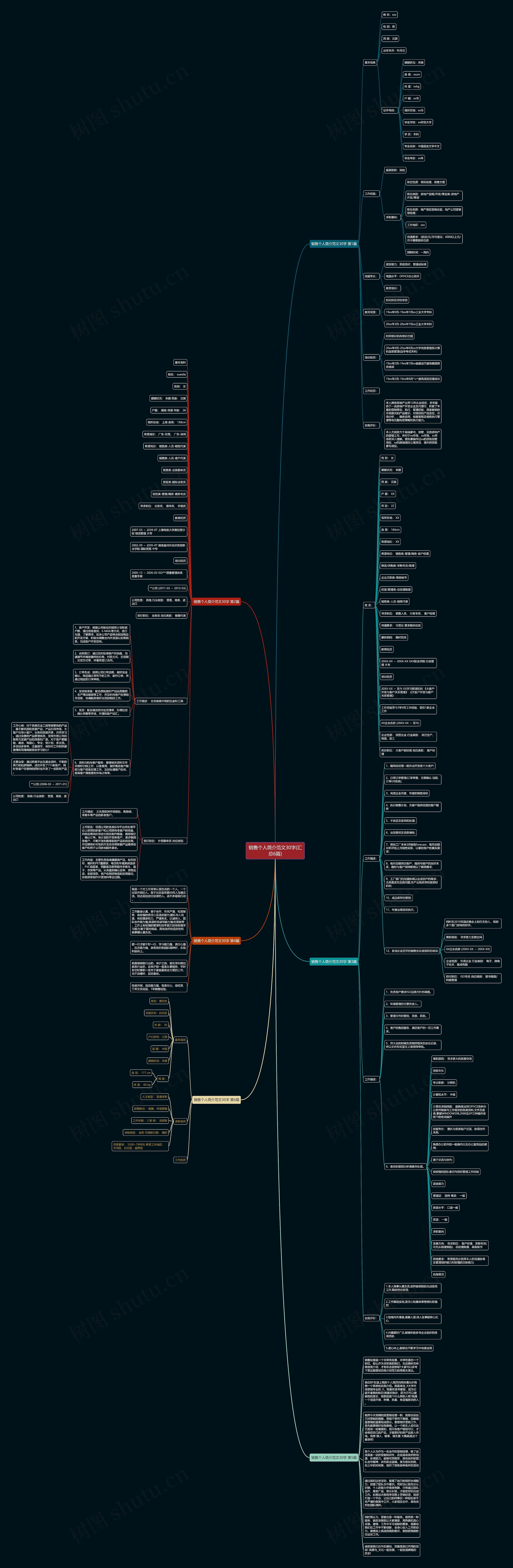 销售个人简介范文30字(汇总6篇)思维导图
