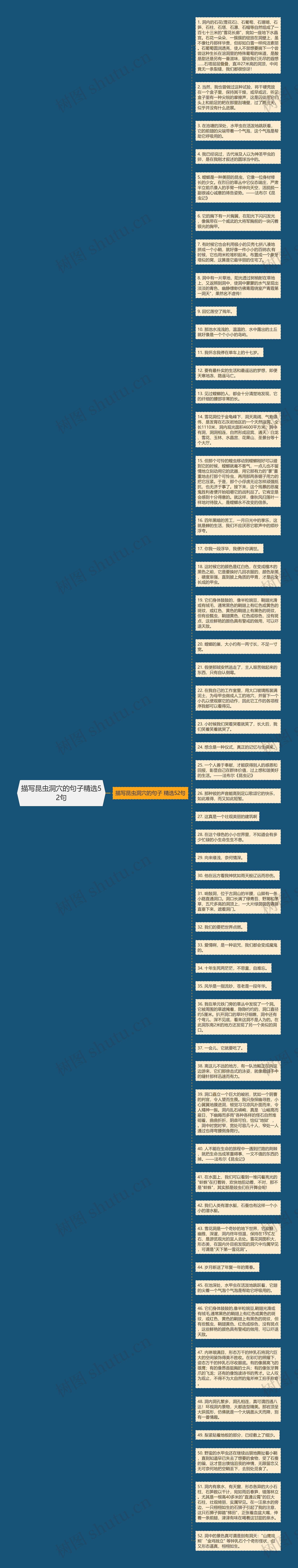 描写昆虫洞穴的句子精选52句