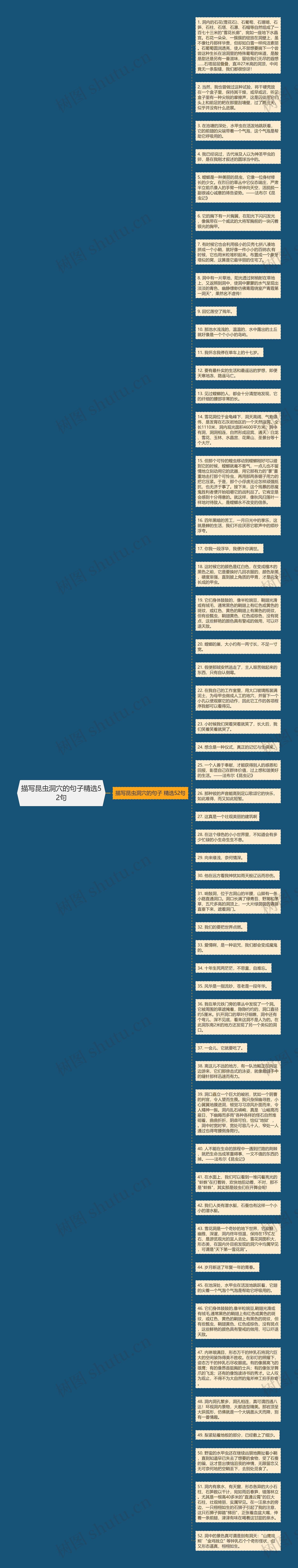 描写昆虫洞穴的句子精选52句思维导图