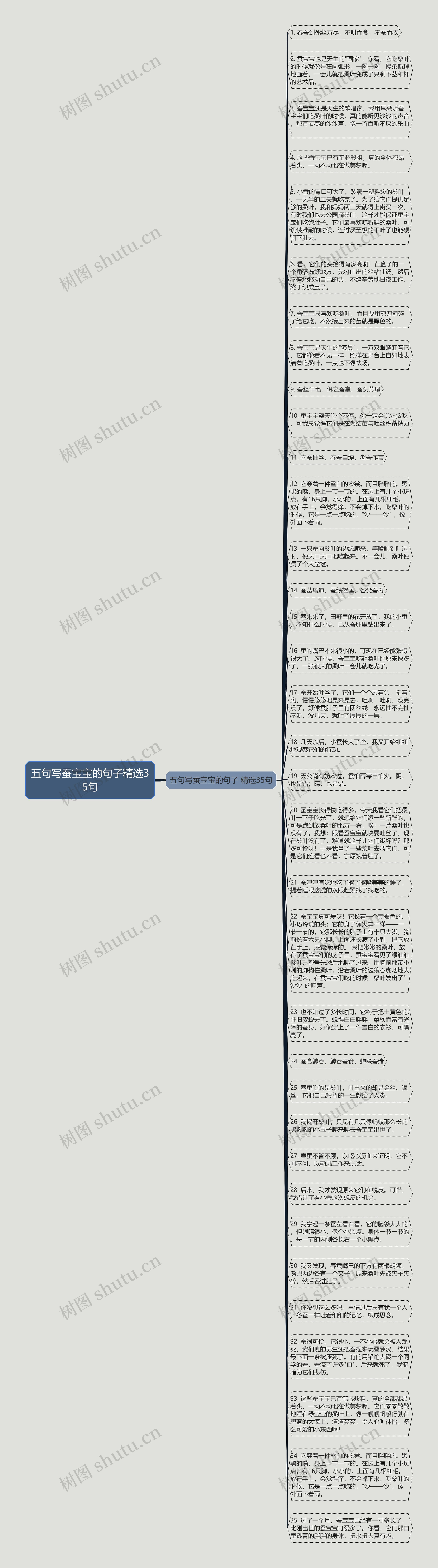 五句写蚕宝宝的句子精选35句思维导图