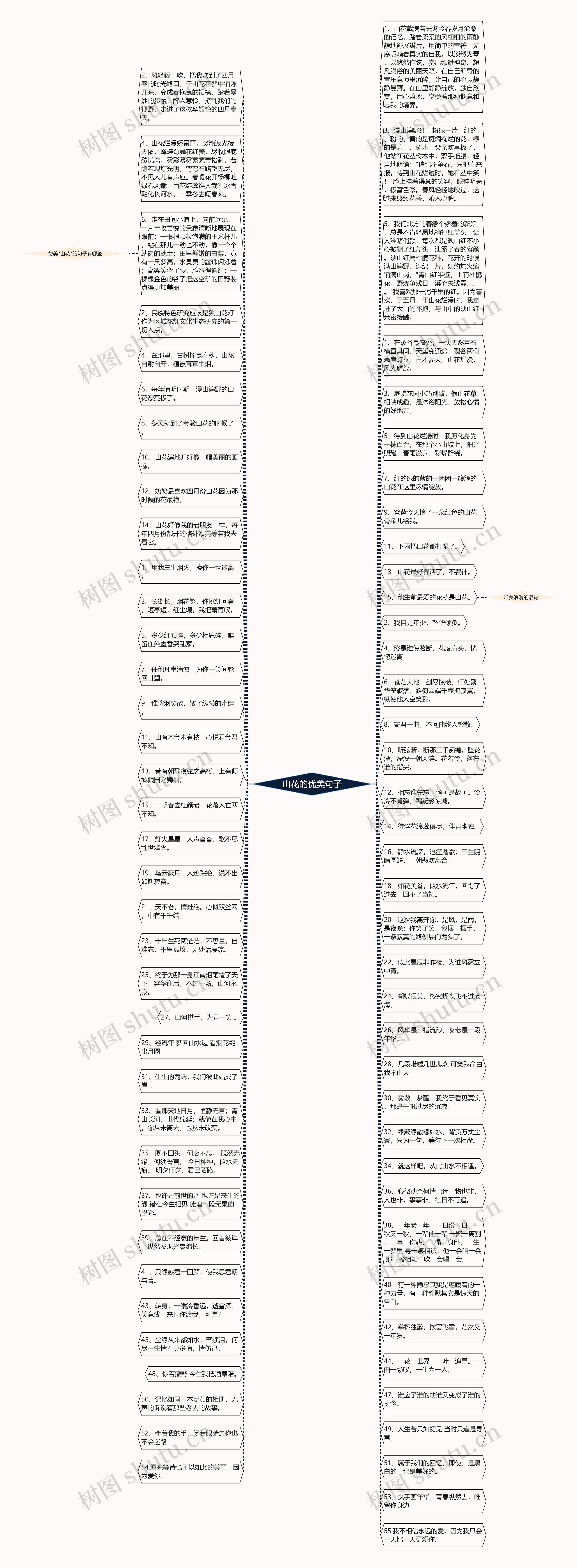 山花的优美句子思维导图