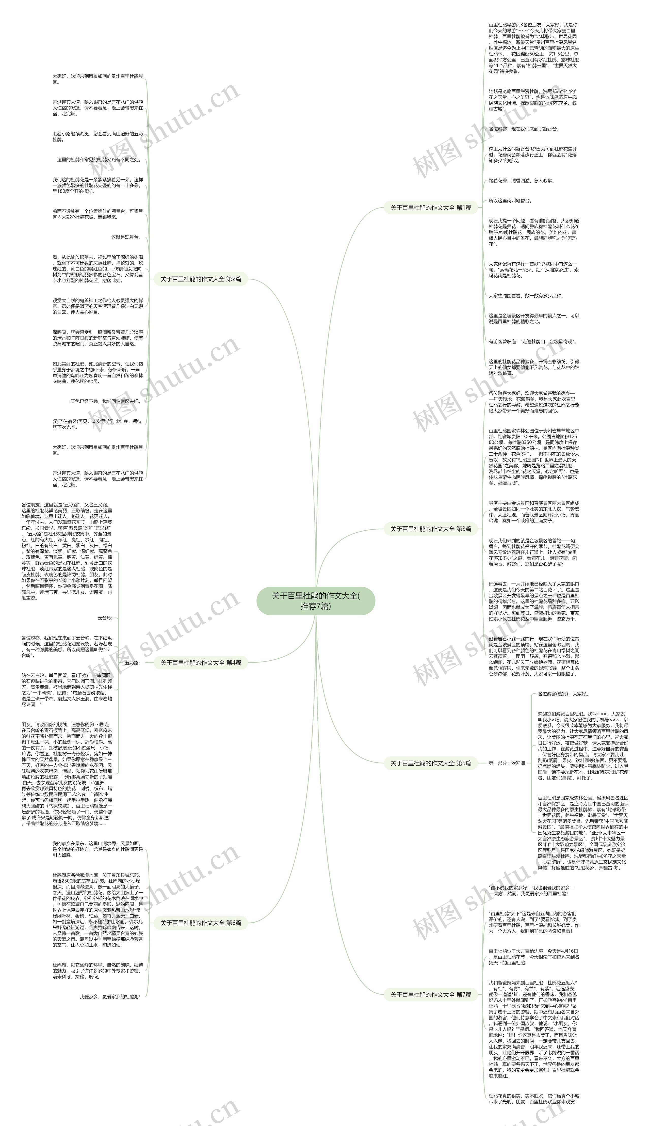 关于百里杜鹃的作文大全(推荐7篇)思维导图