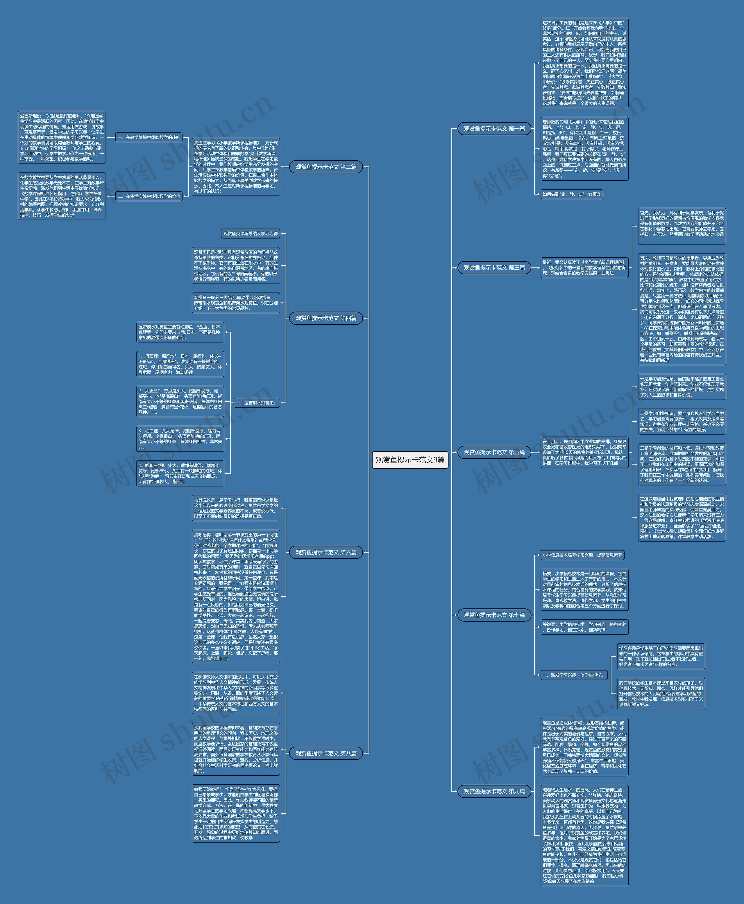 观赏鱼提示卡范文9篇 观赏鱼提示卡范文9篇