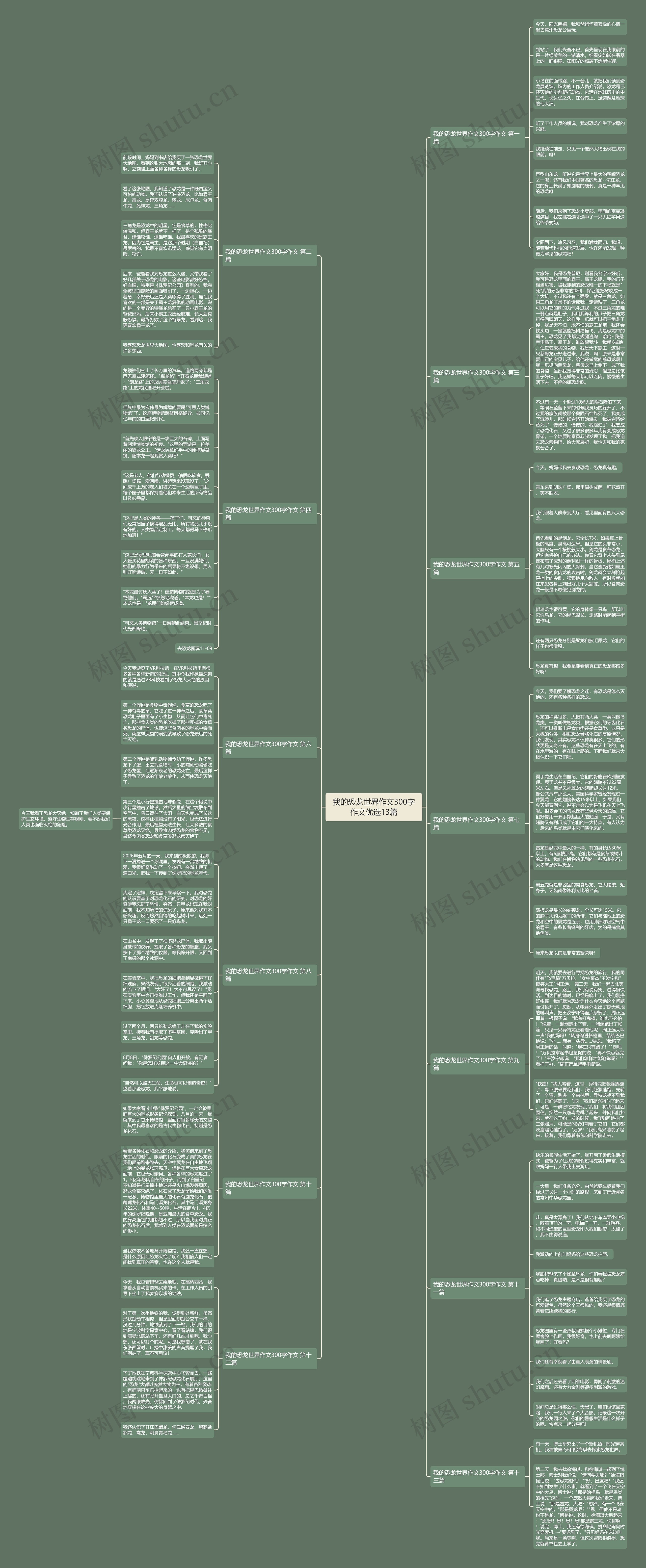 我的恐龙世界作文300字作文优选13篇思维导图