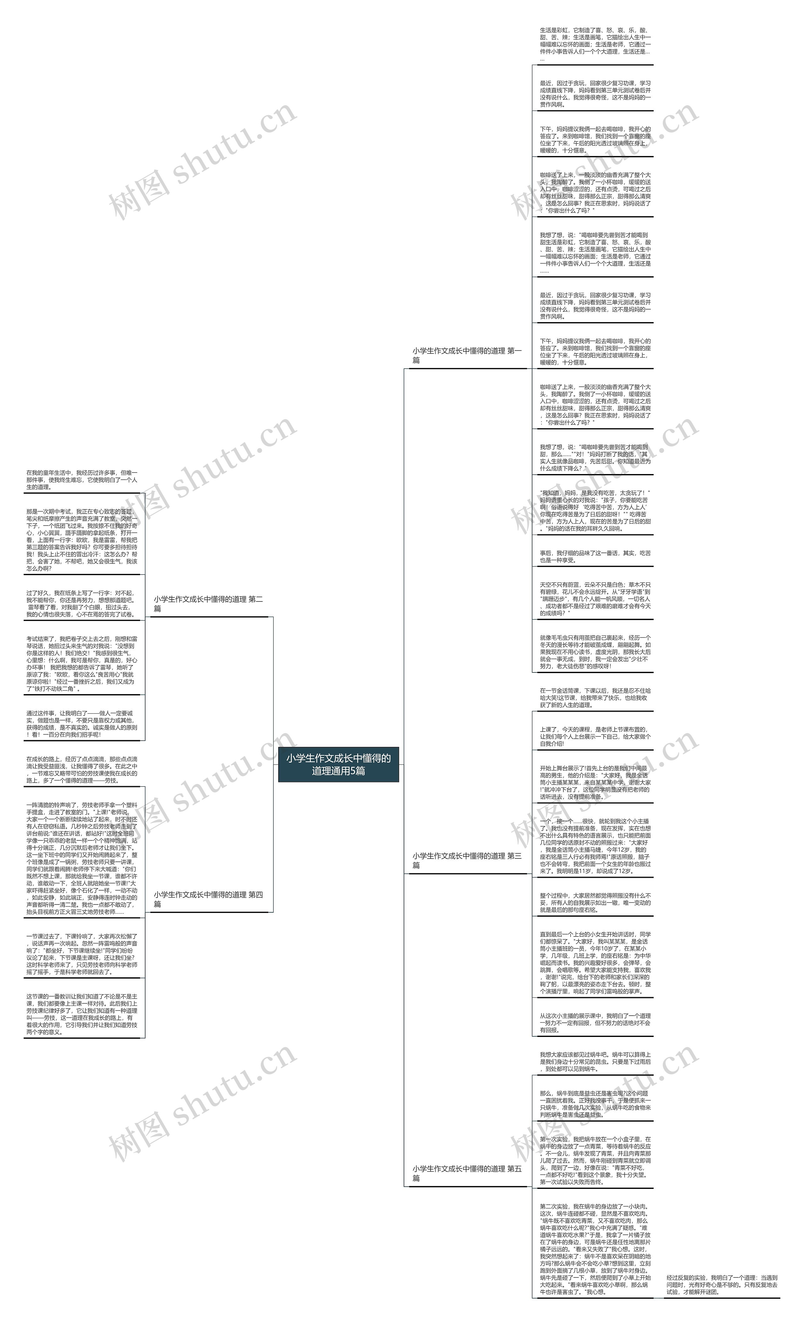 小学生作文成长中懂得的道理通用5篇思维导图
