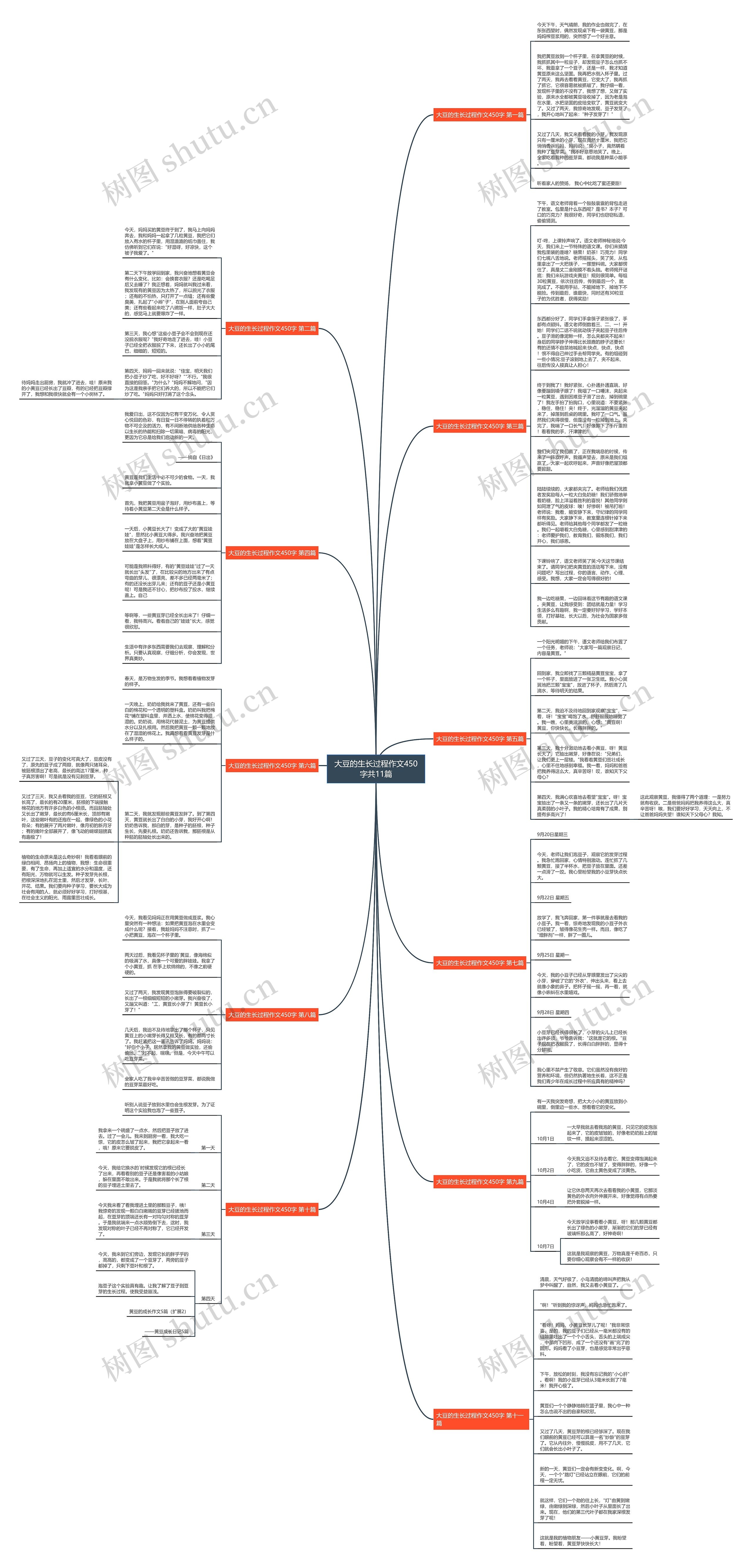 大豆的生长过程作文450字共11篇思维导图