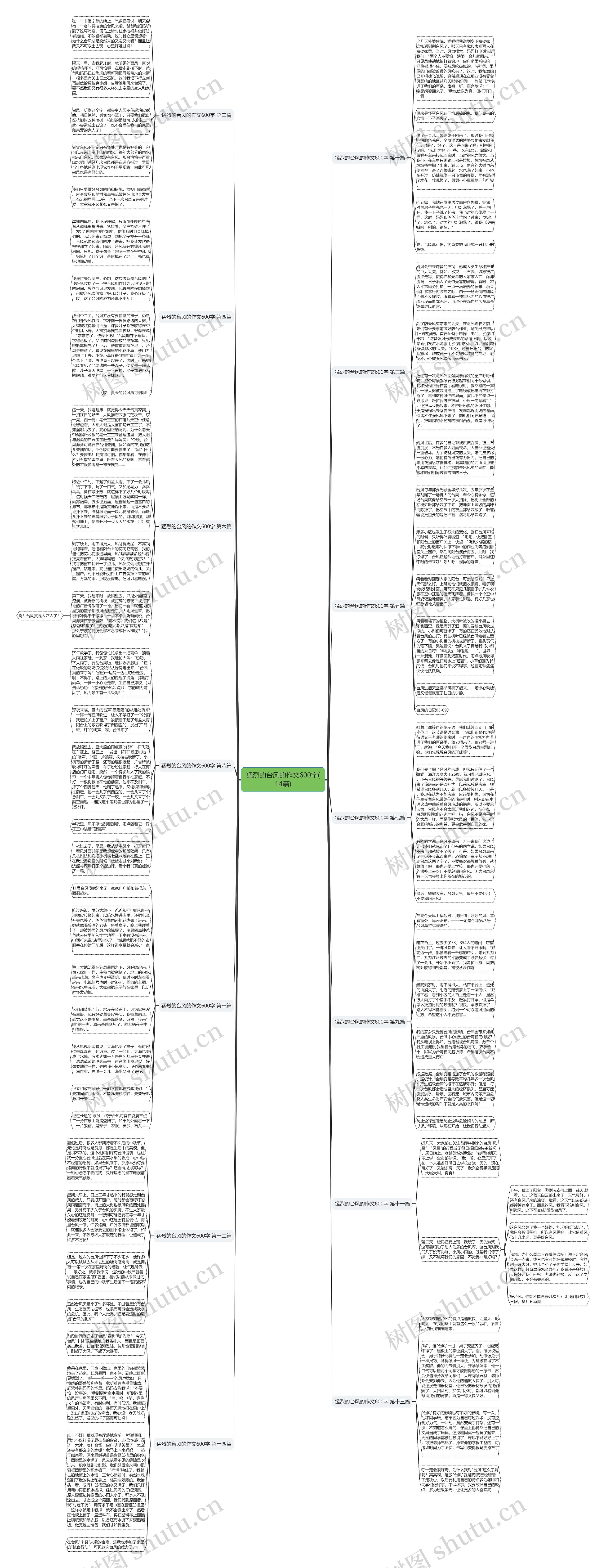 猛烈的台风的作文600字(14篇)思维导图