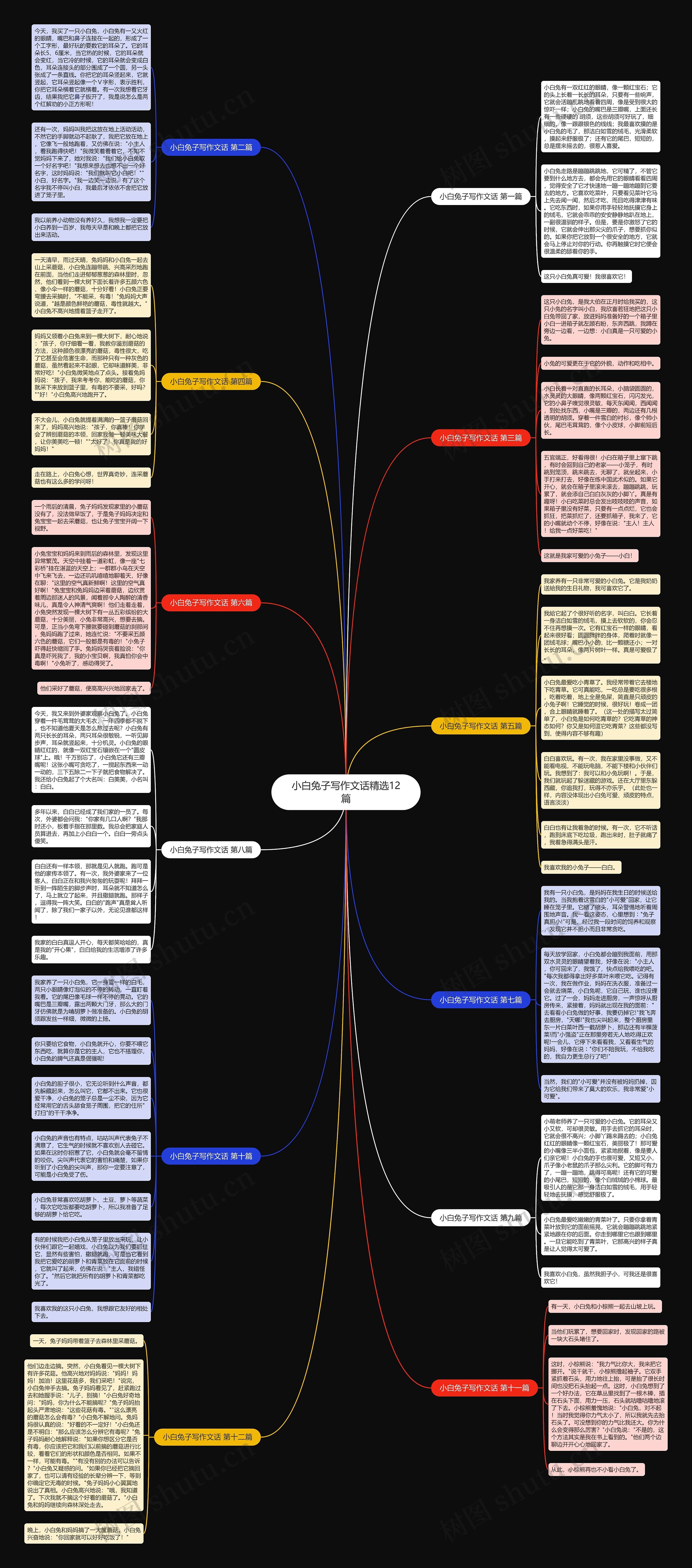 小白兔子写作文话精选12篇思维导图