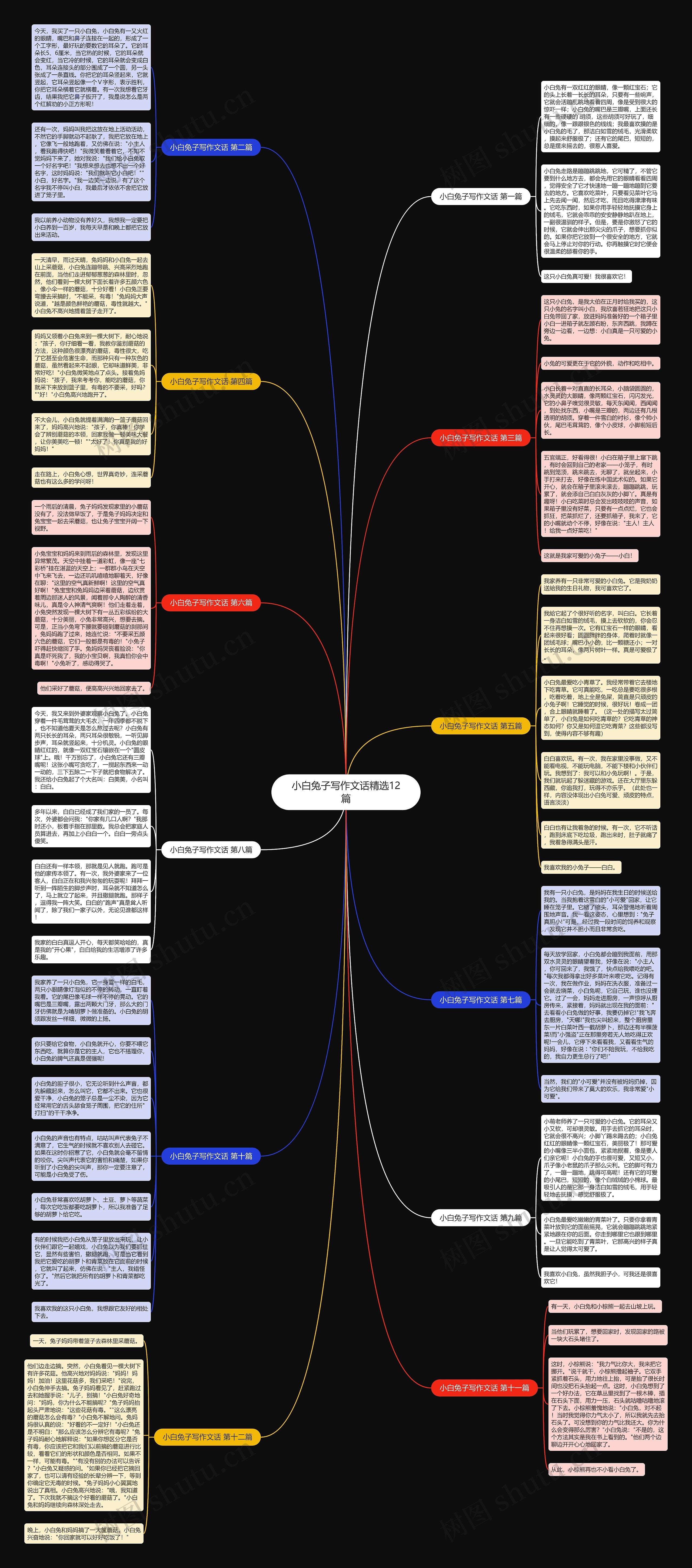 小白兔子写作文话精选12篇 小白兔子写作文话精选12篇