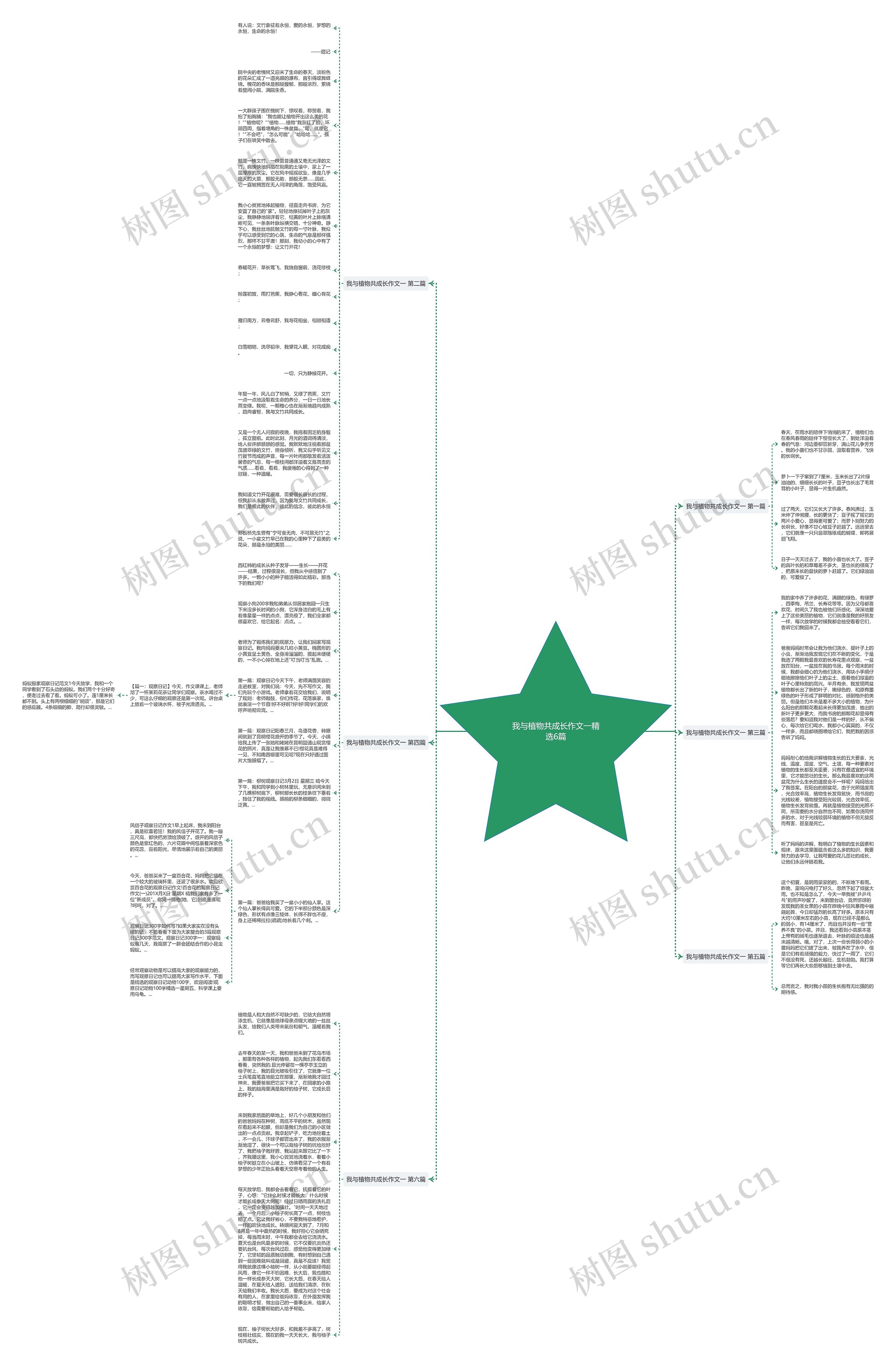 我与植物共成长作文一精选6篇思维导图