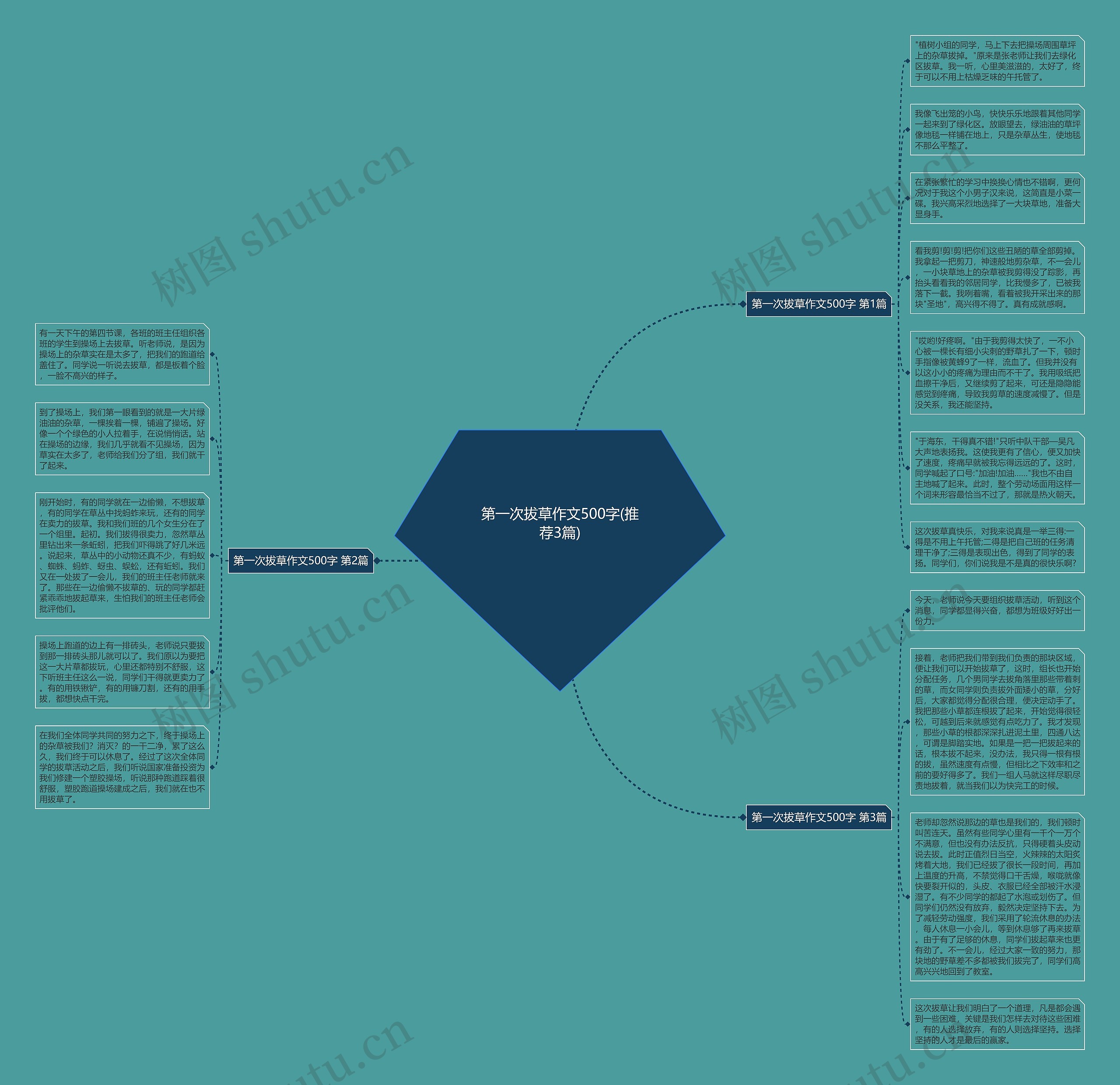 第一次拔草作文500字(推荐3篇)思维导图