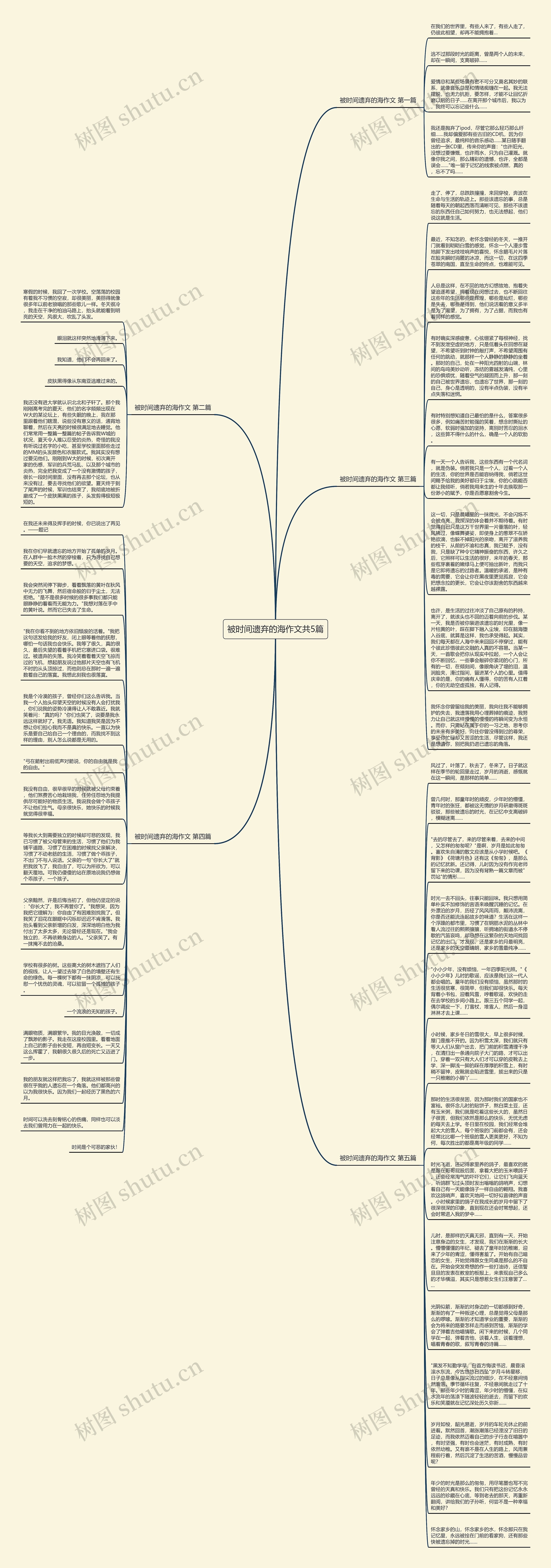 被时间遗弃的海作文共5篇