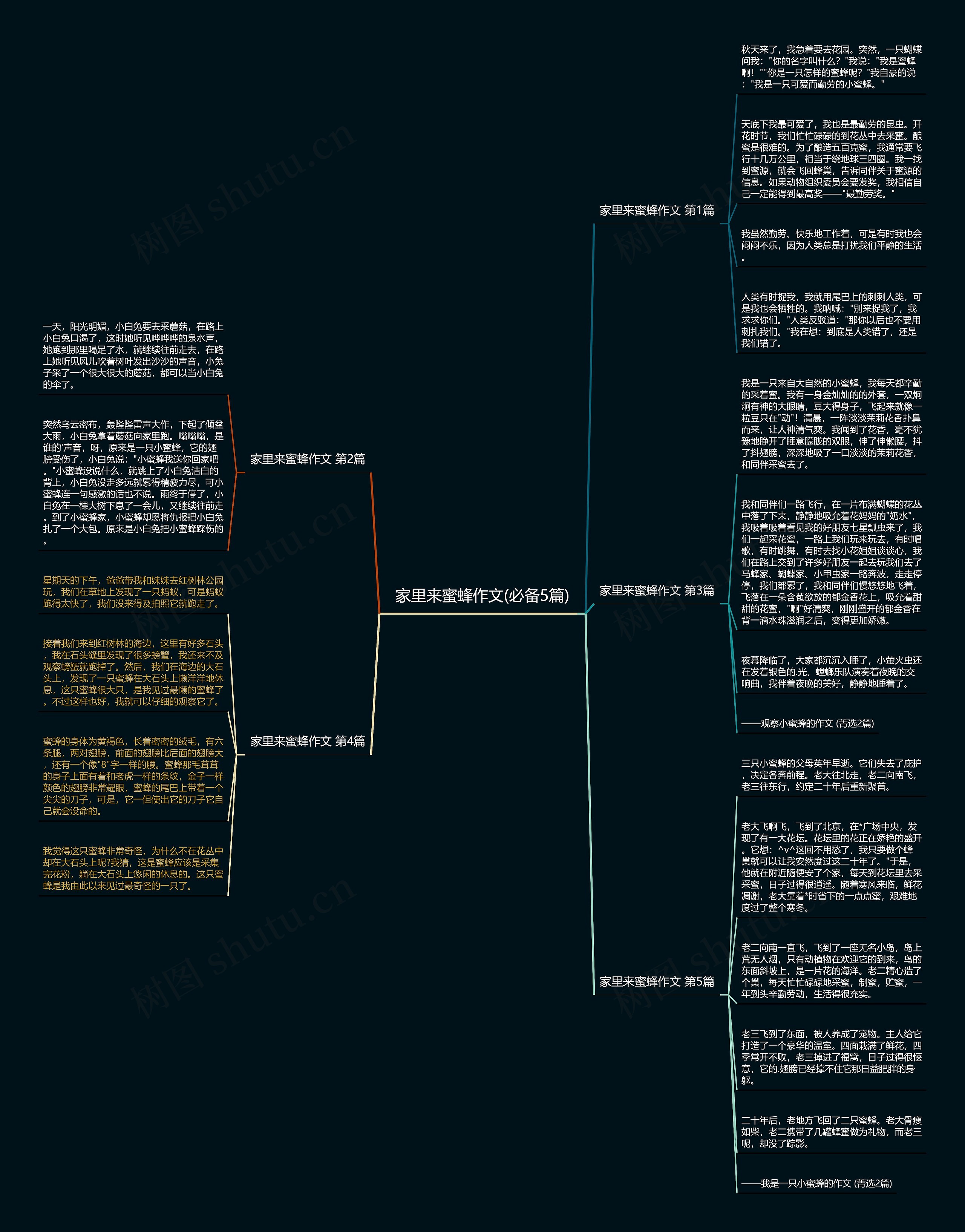家里来蜜蜂作文(必备5篇)思维导图