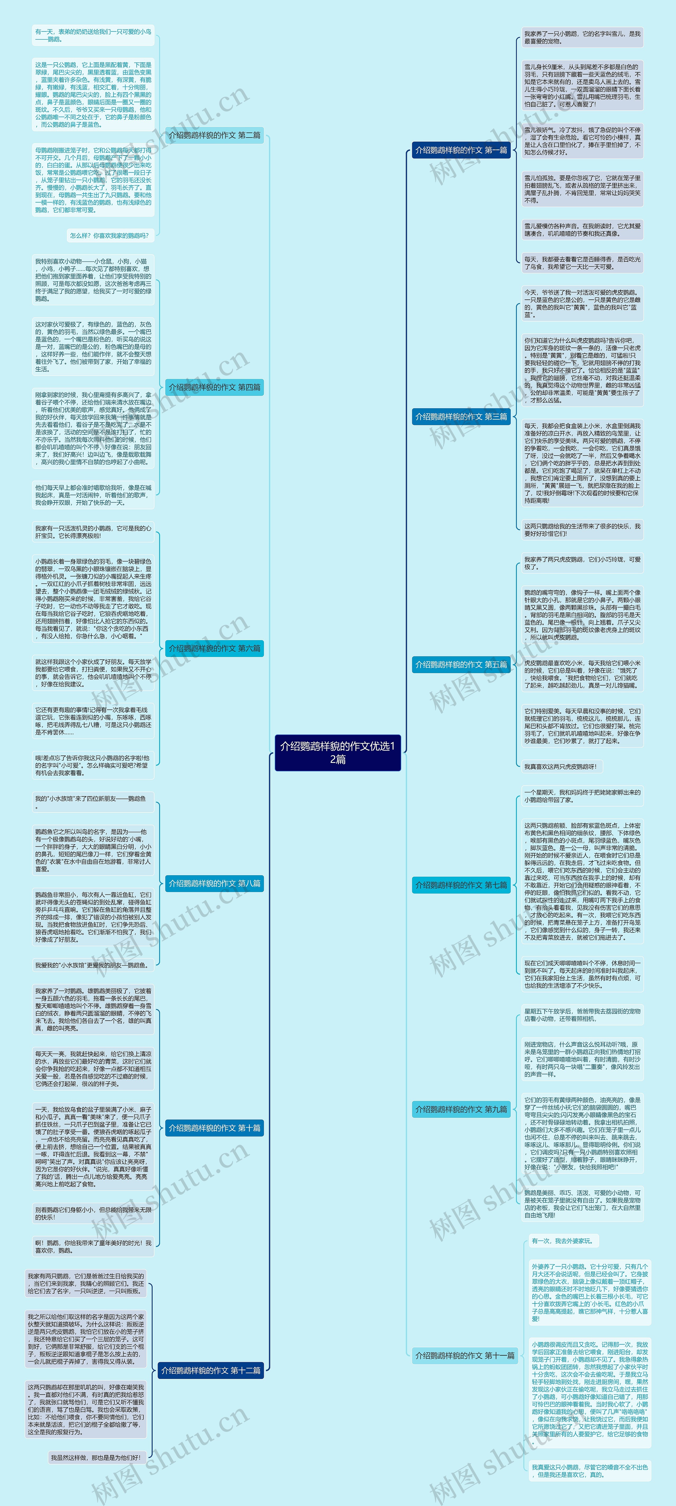 介绍鹦鹉样貌的作文优选12篇思维导图