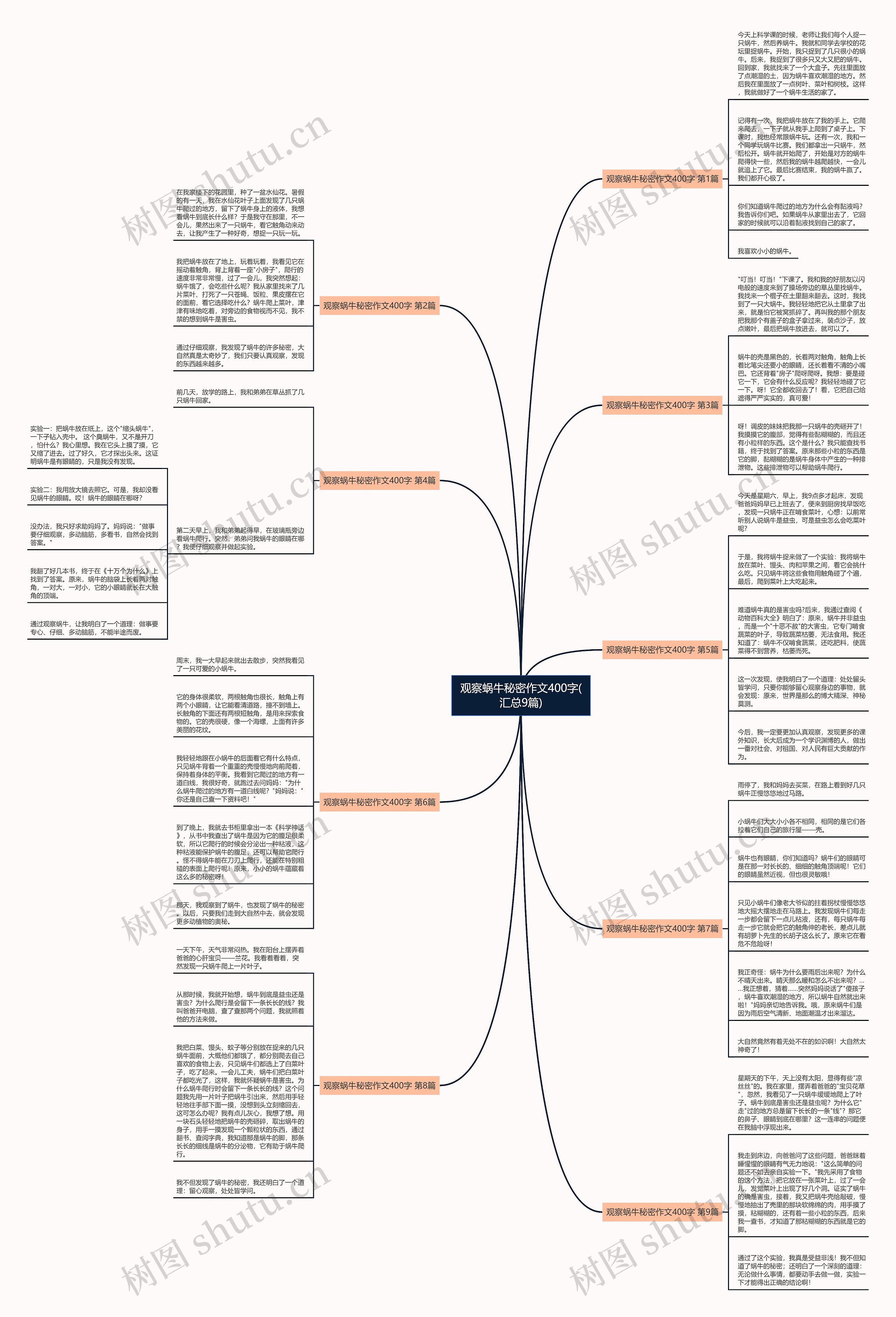 观察蜗牛秘密作文400字(汇总9篇) 观察蜗牛秘密作文400字(汇总9篇)