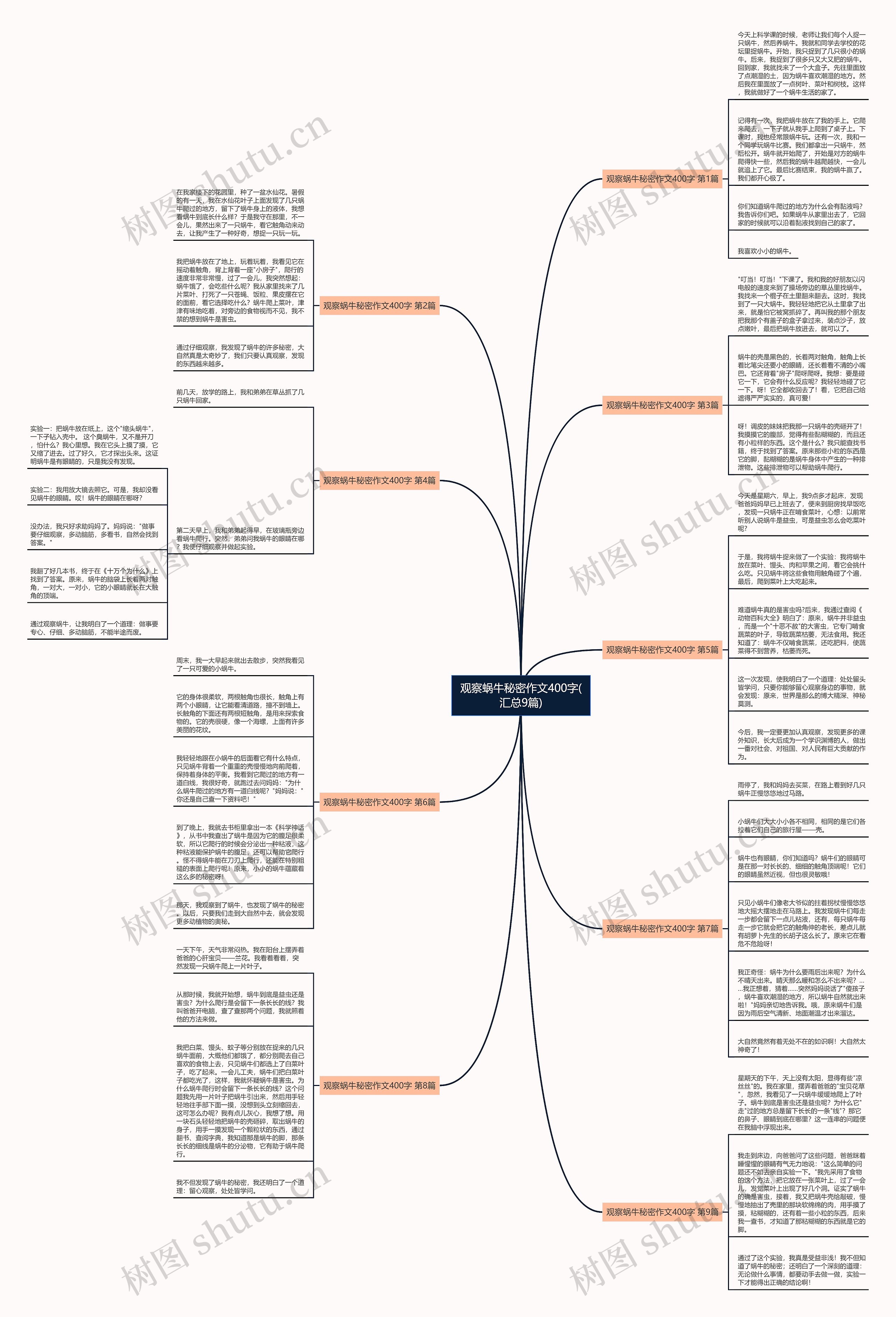 观察蜗牛秘密作文400字(汇总9篇)思维导图