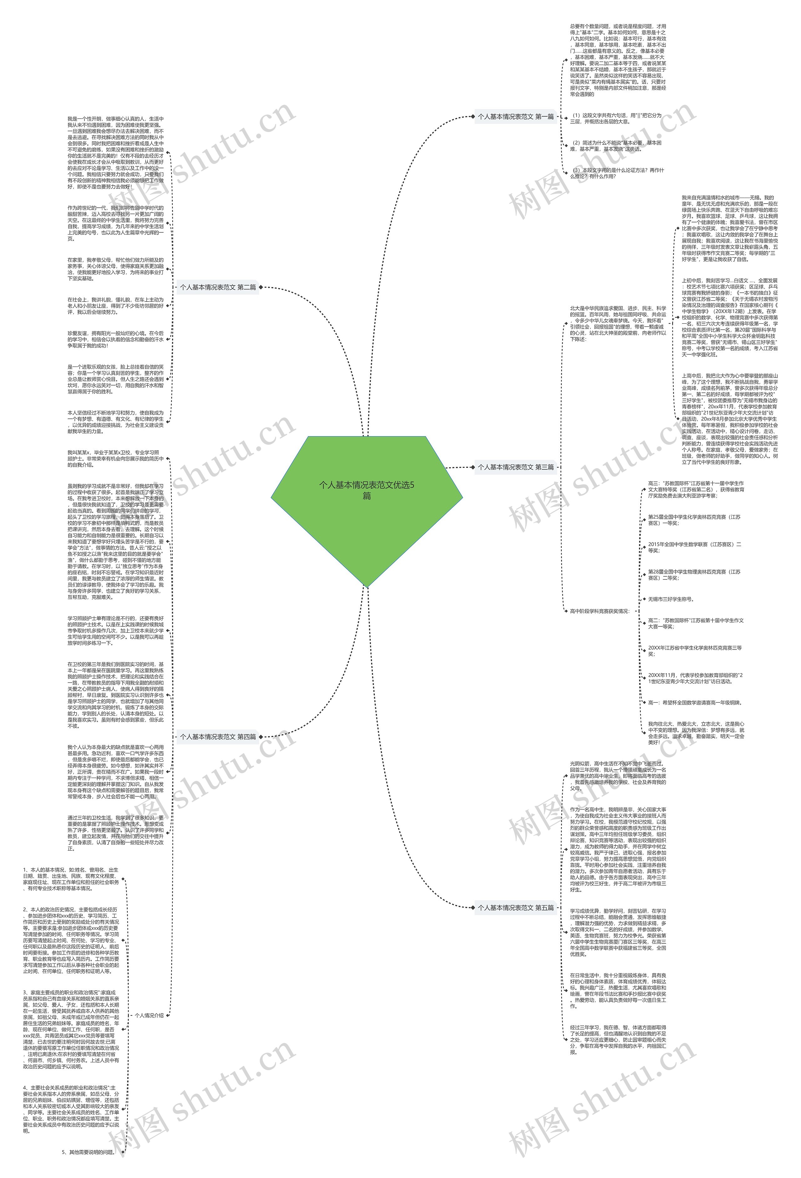 个人基本情况表范文优选5篇思维导图
