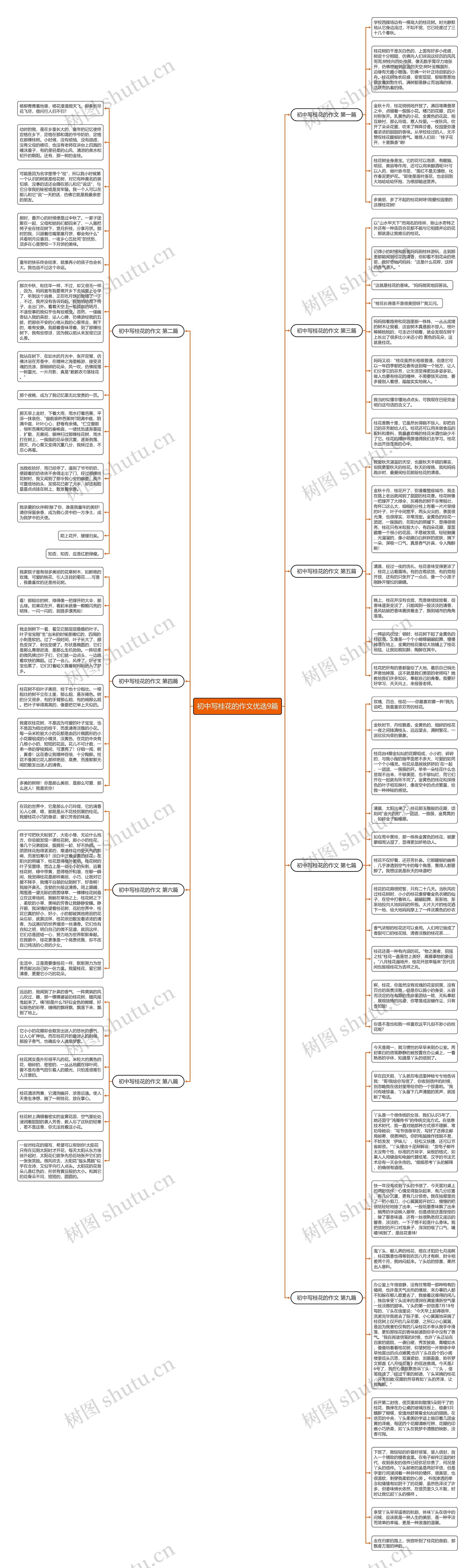 初中写桂花的作文优选9篇思维导图