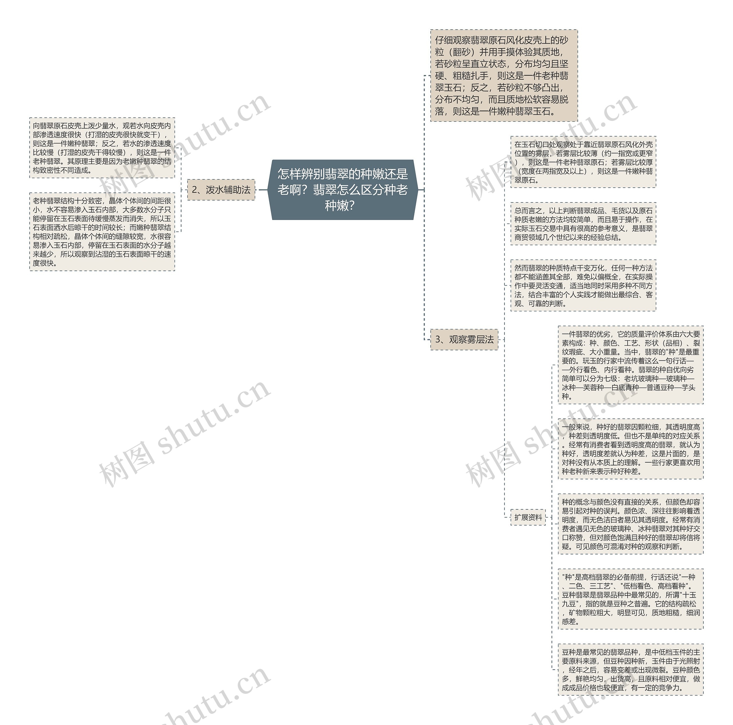 怎样辨别翡翠的种嫩还是老啊？翡翠怎么区分种老种嫩？思维导图