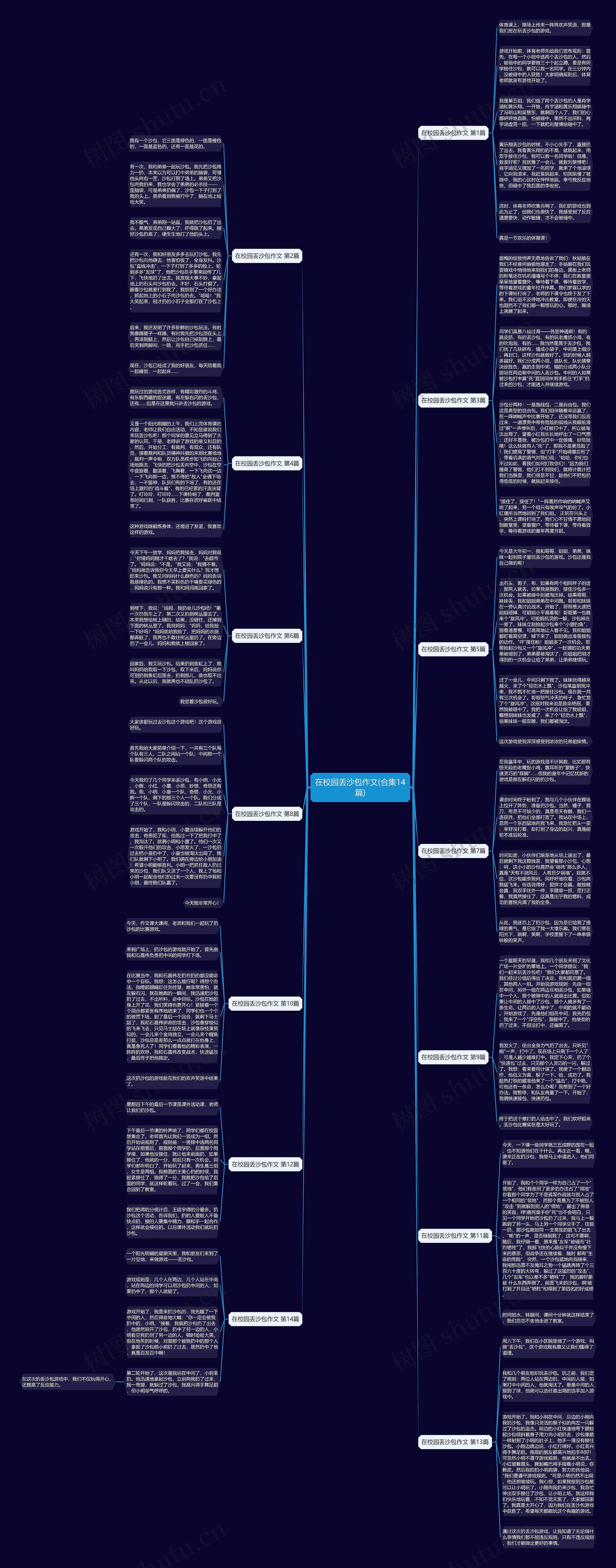 在校园丢沙包作文(合集14篇)思维导图