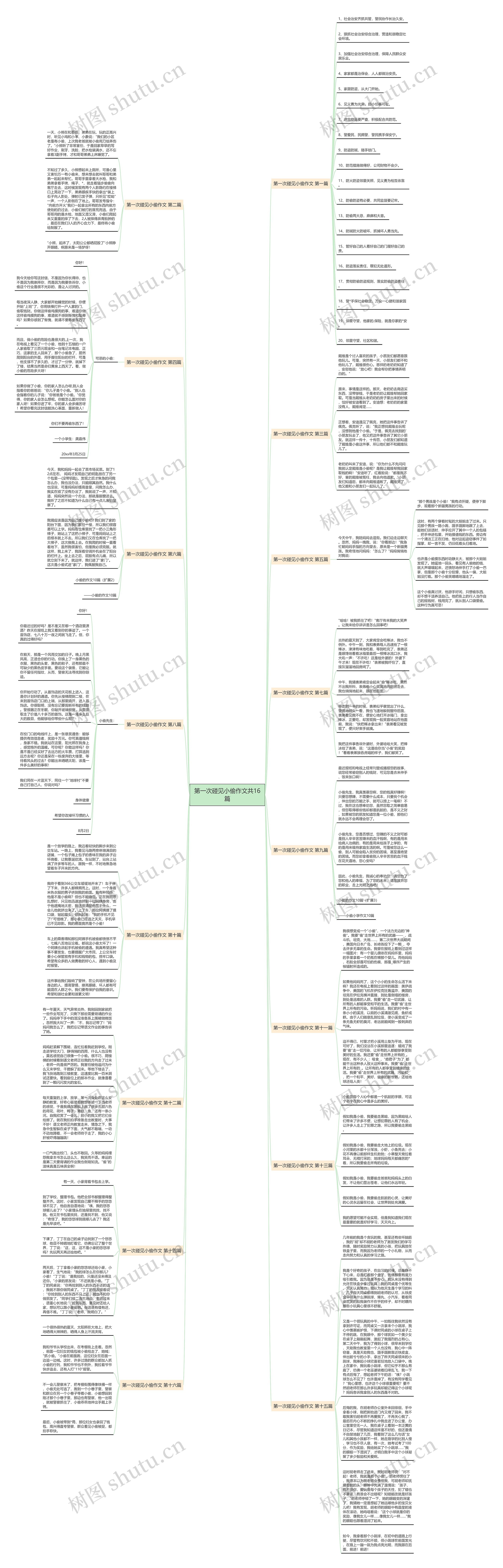 第一次碰见小偷作文共16篇