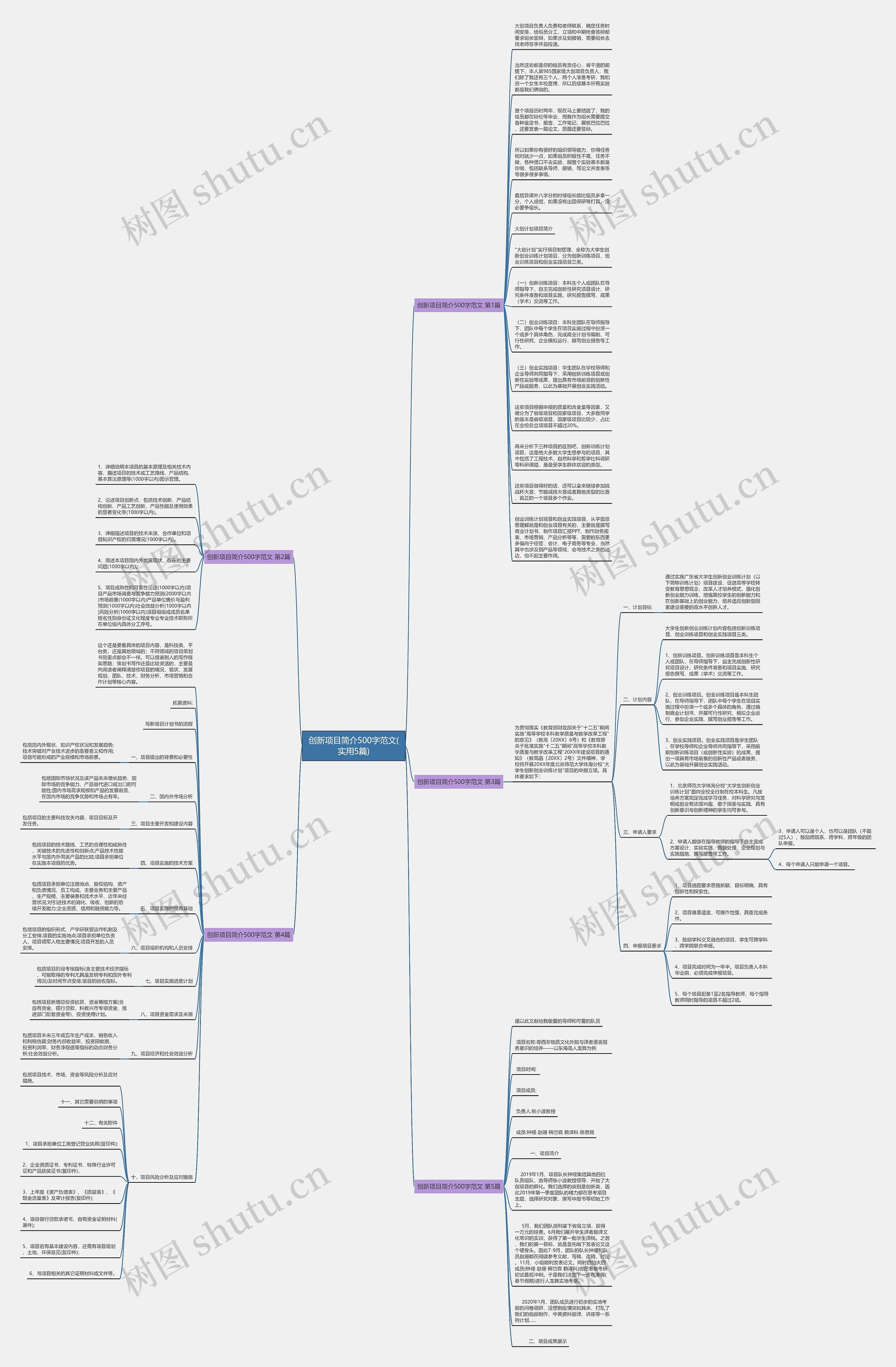 创新项目简介500字范文(实用5篇)思维导图