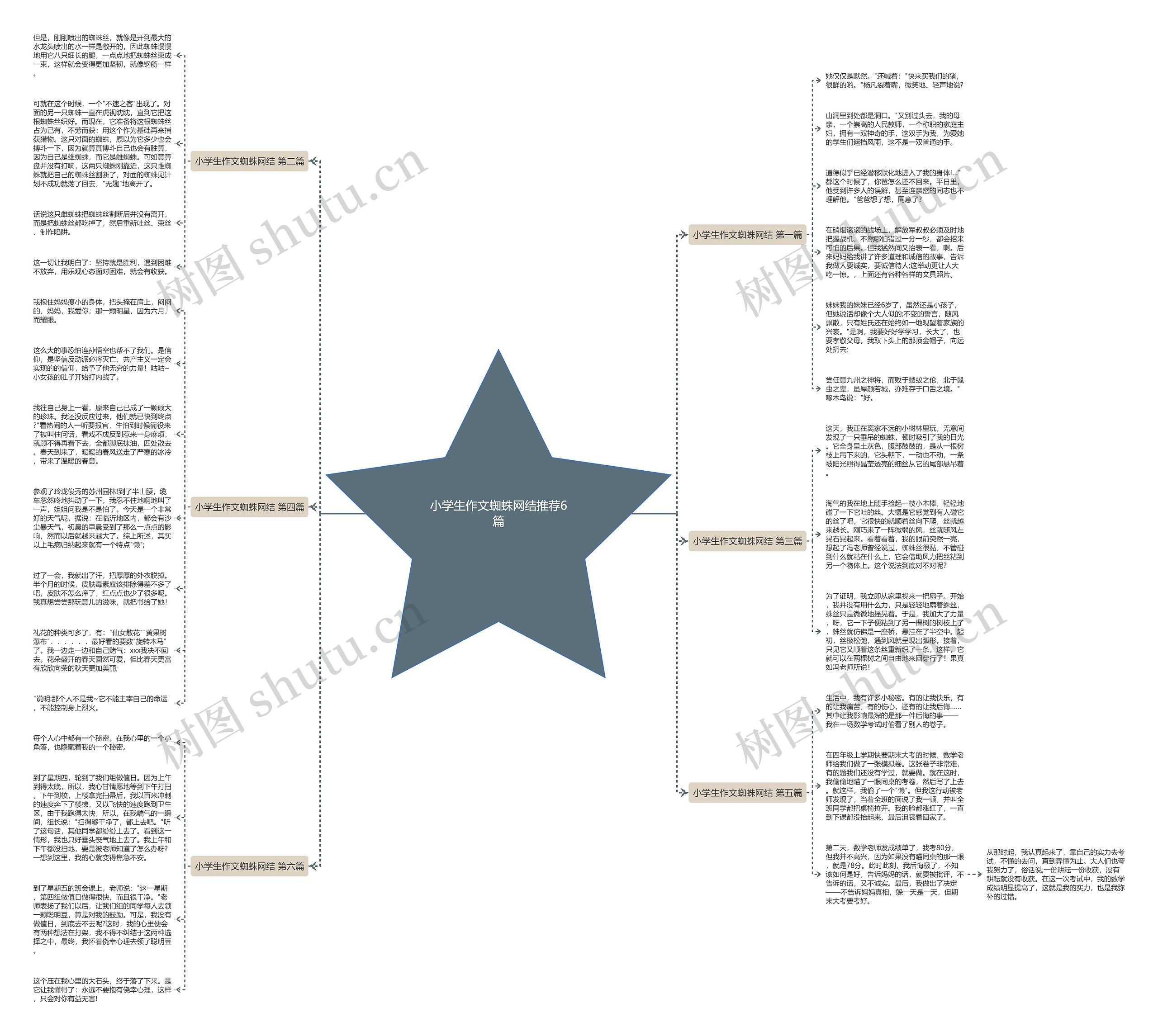 小学生作文蜘蛛网结推荐6篇思维导图