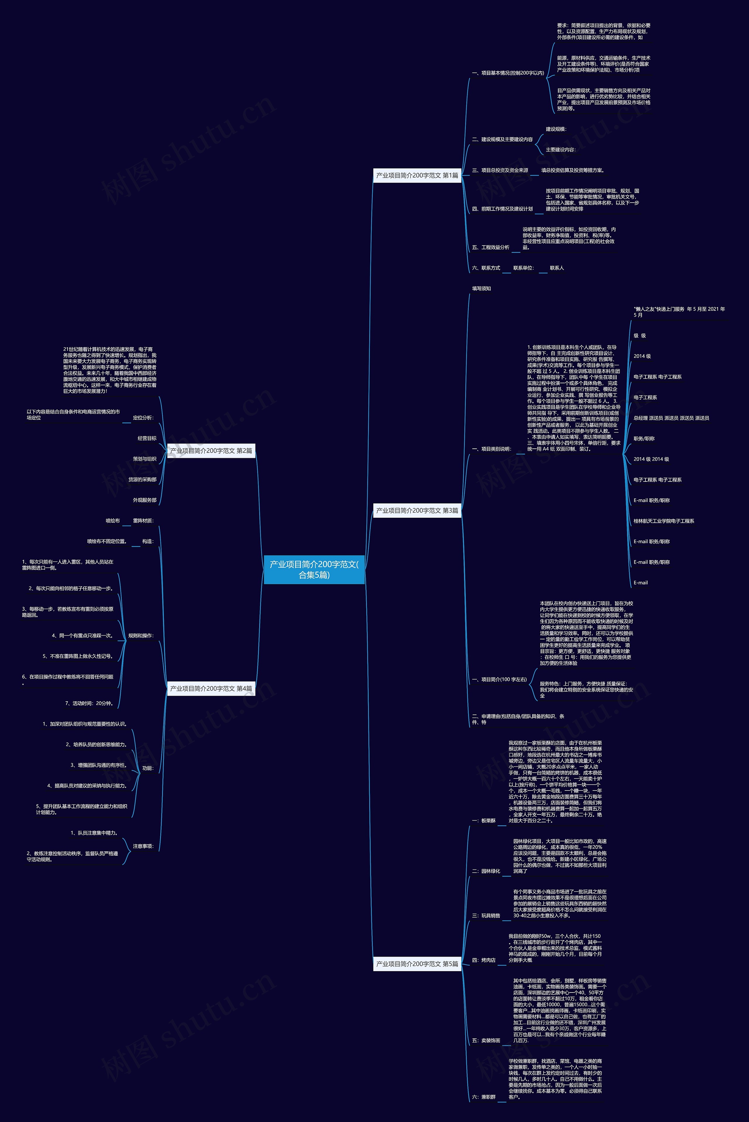 产业项目简介200字范文(合集5篇)思维导图