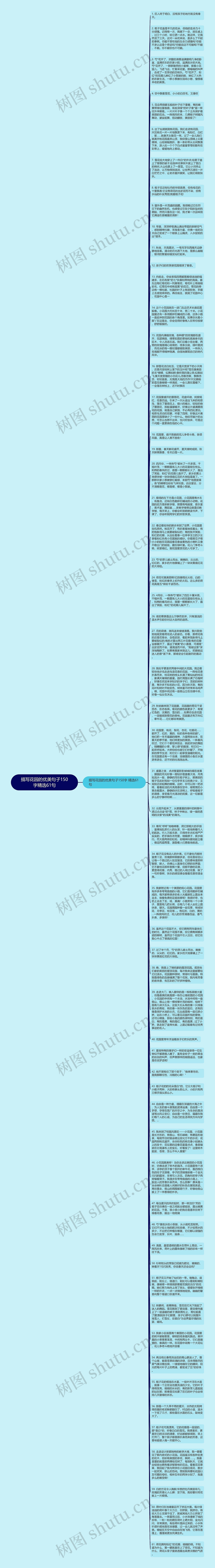 描写花园的优美句子150字精选61句思维导图