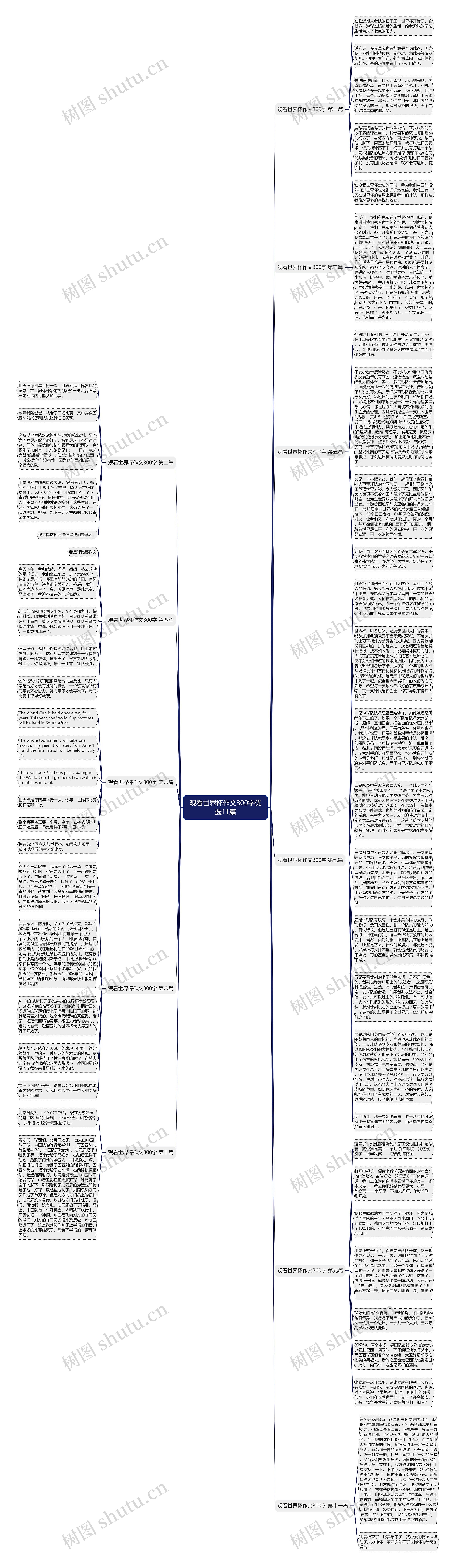 观看世界杯作文300字优选11篇思维导图