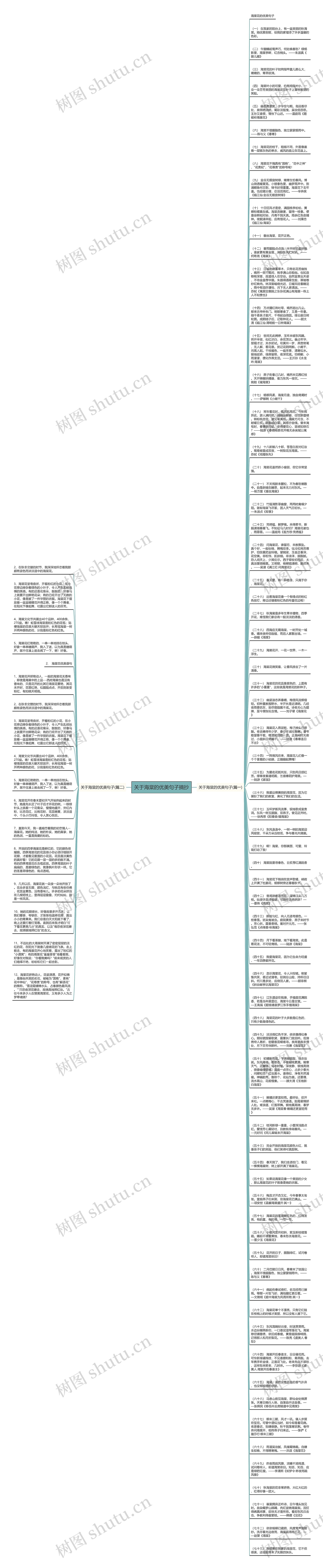 关于海棠的优美句子摘抄思维导图