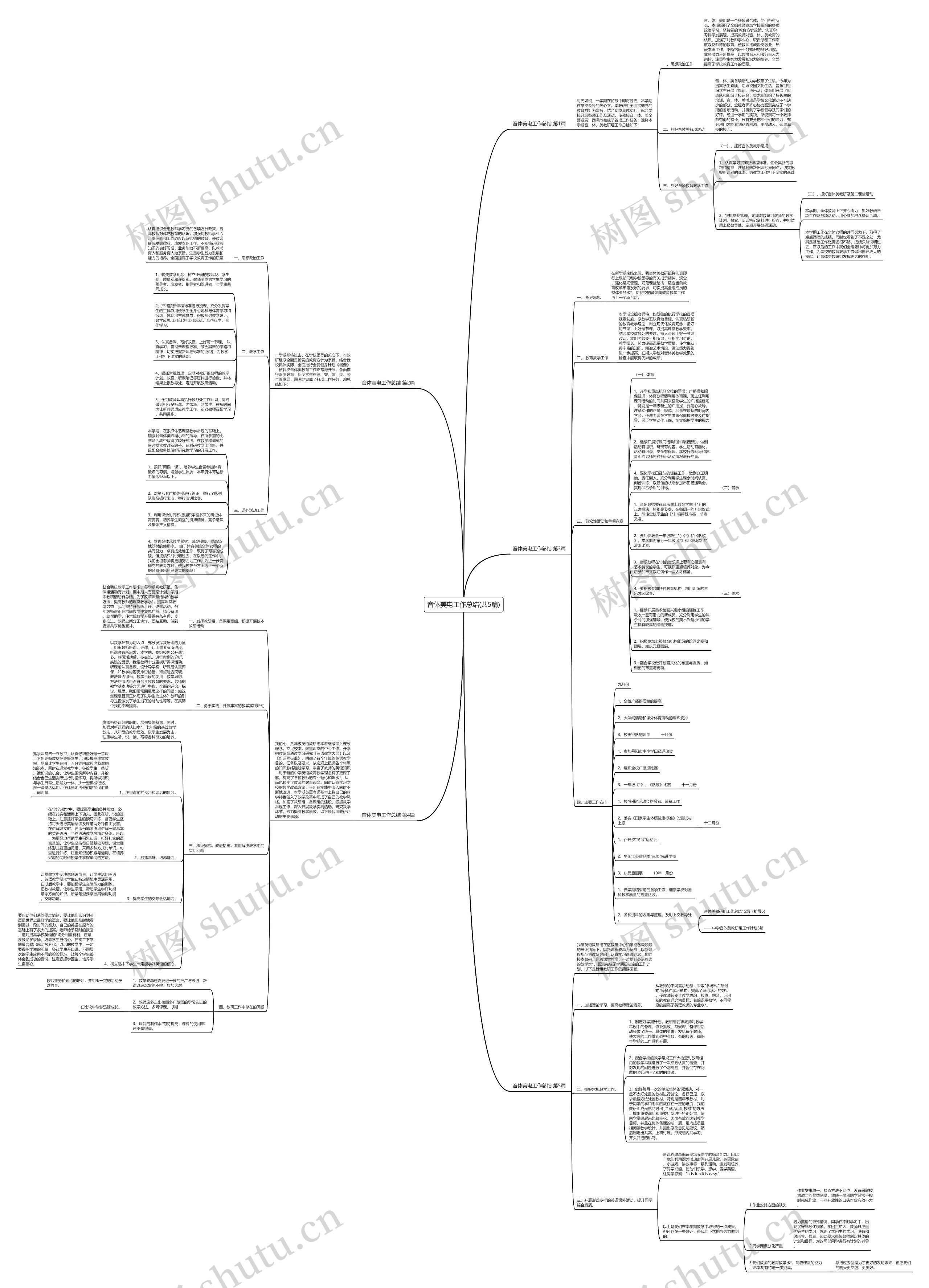 音体美电工作总结(共5篇)思维导图