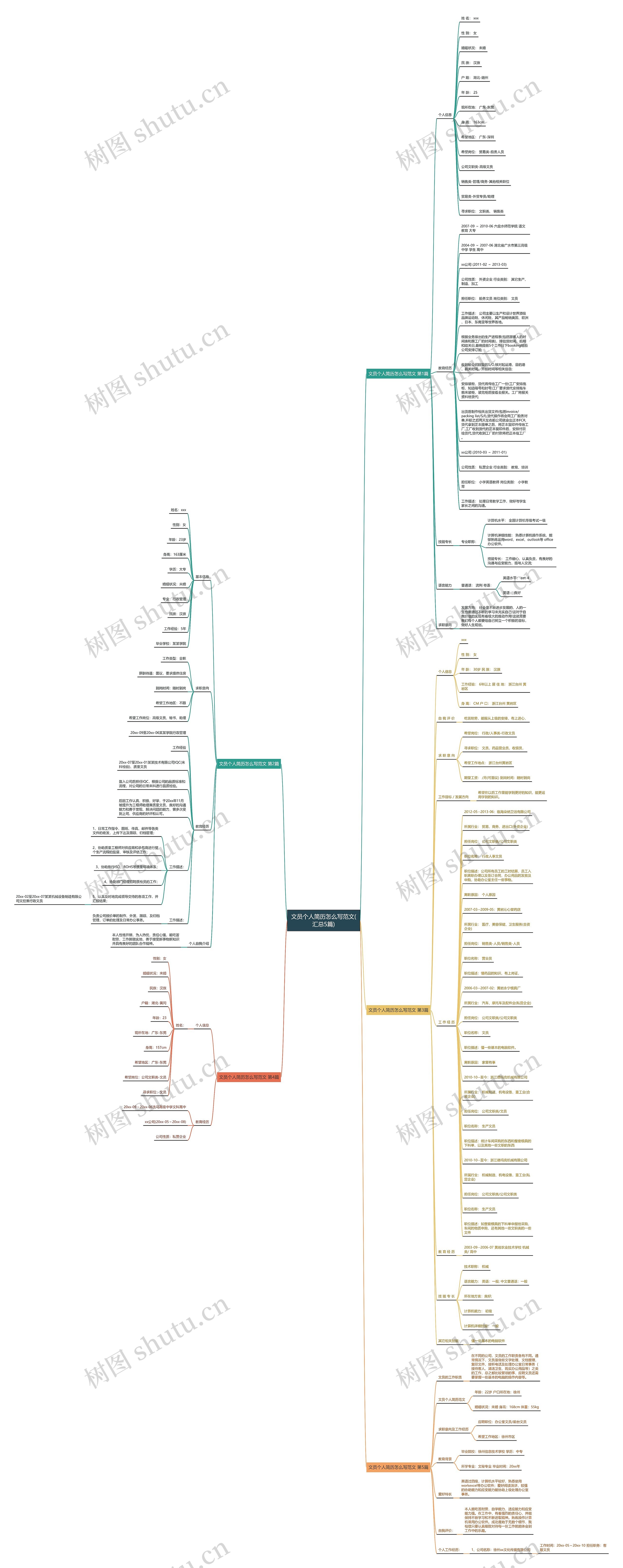 文员个人简历怎么写范文(汇总5篇) 文员个人简历怎么写范文(汇总5篇)