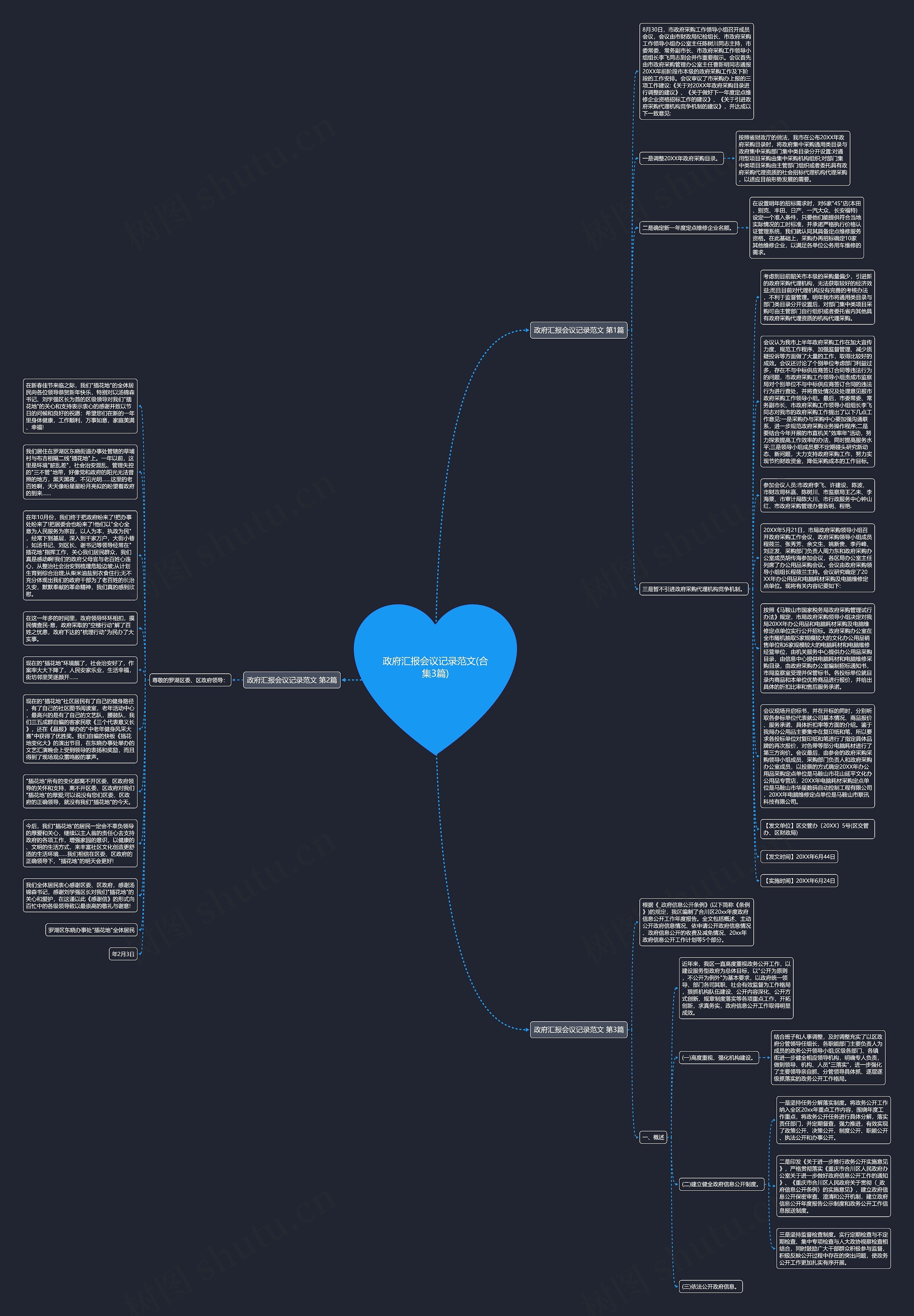 政府汇报会议记录范文(合集3篇)思维导图