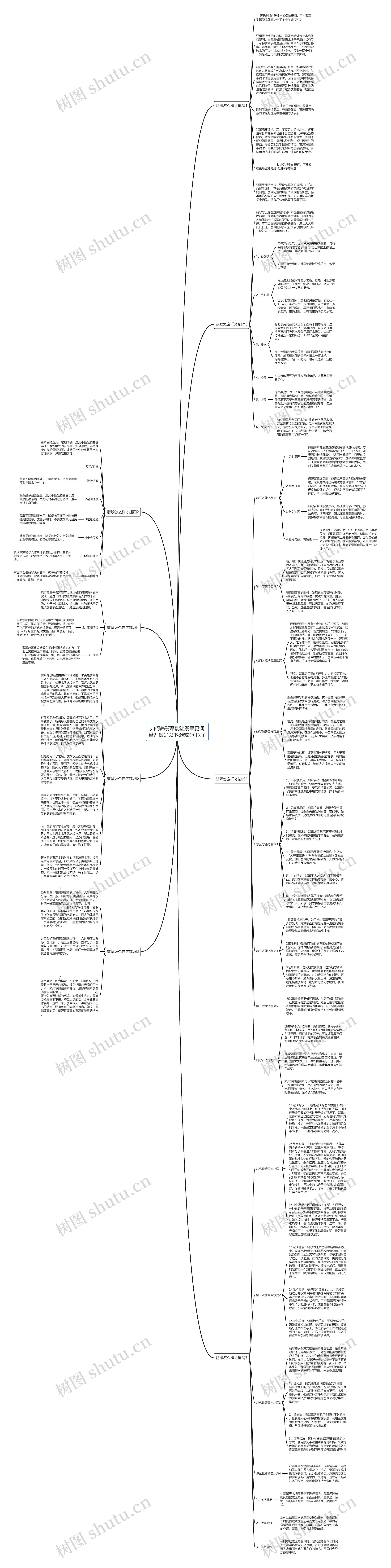 如何养翡翠能让翡翠更润泽？做好以下8步就可以了思维导图