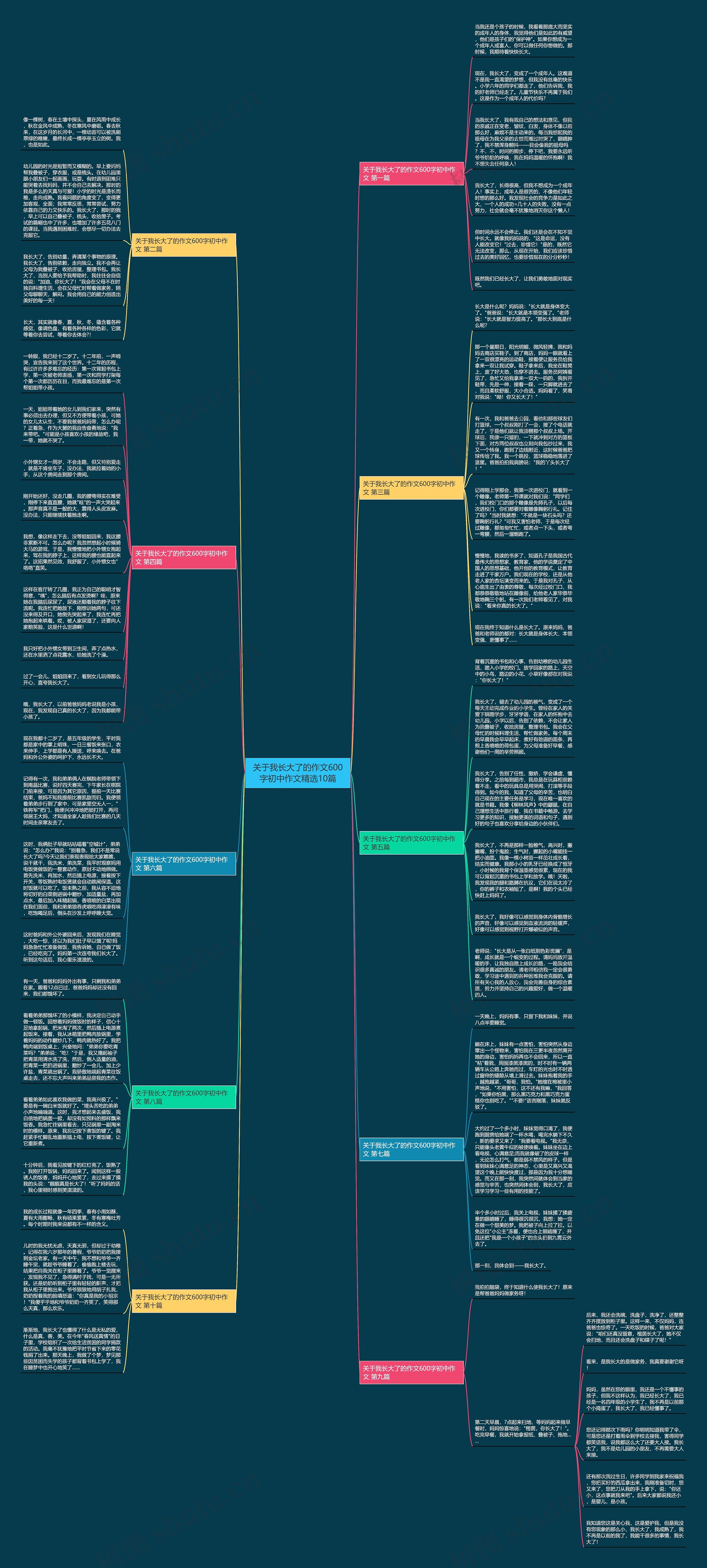 关于我长大了的作文600字初中作文精选10篇思维导图
