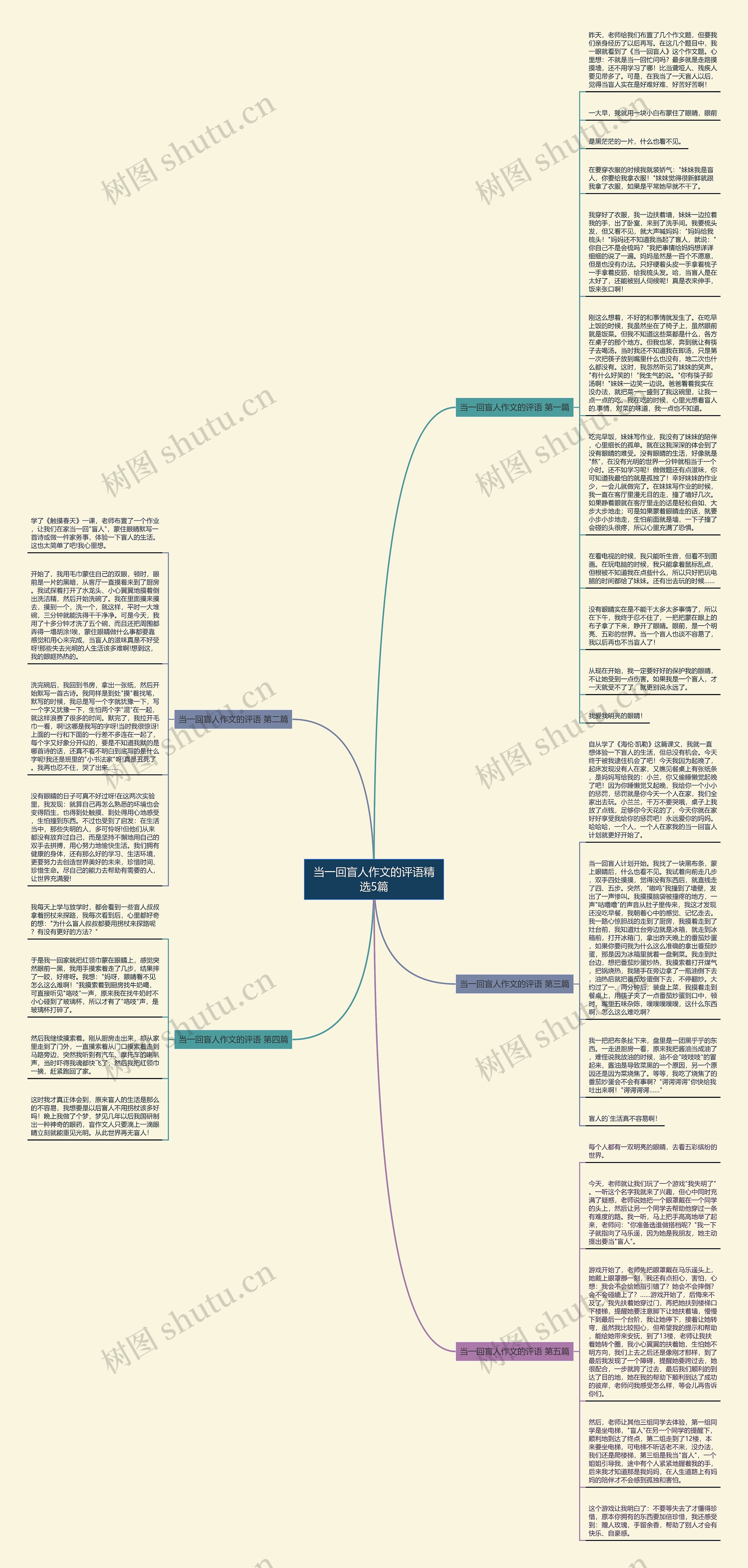 当一回盲人作文的评语精选5篇思维导图