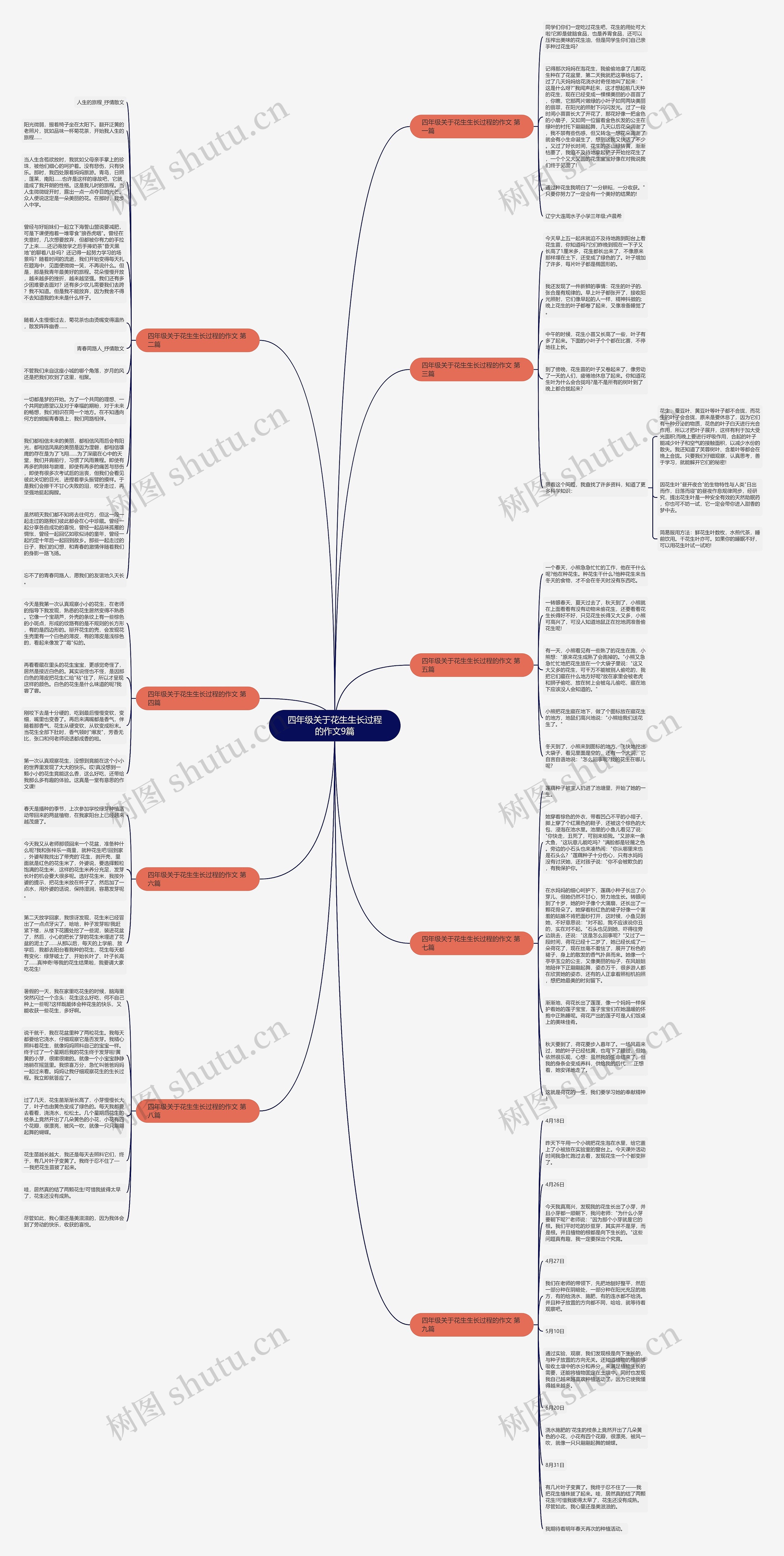 四年级关于花生生长过程的作文9篇思维导图