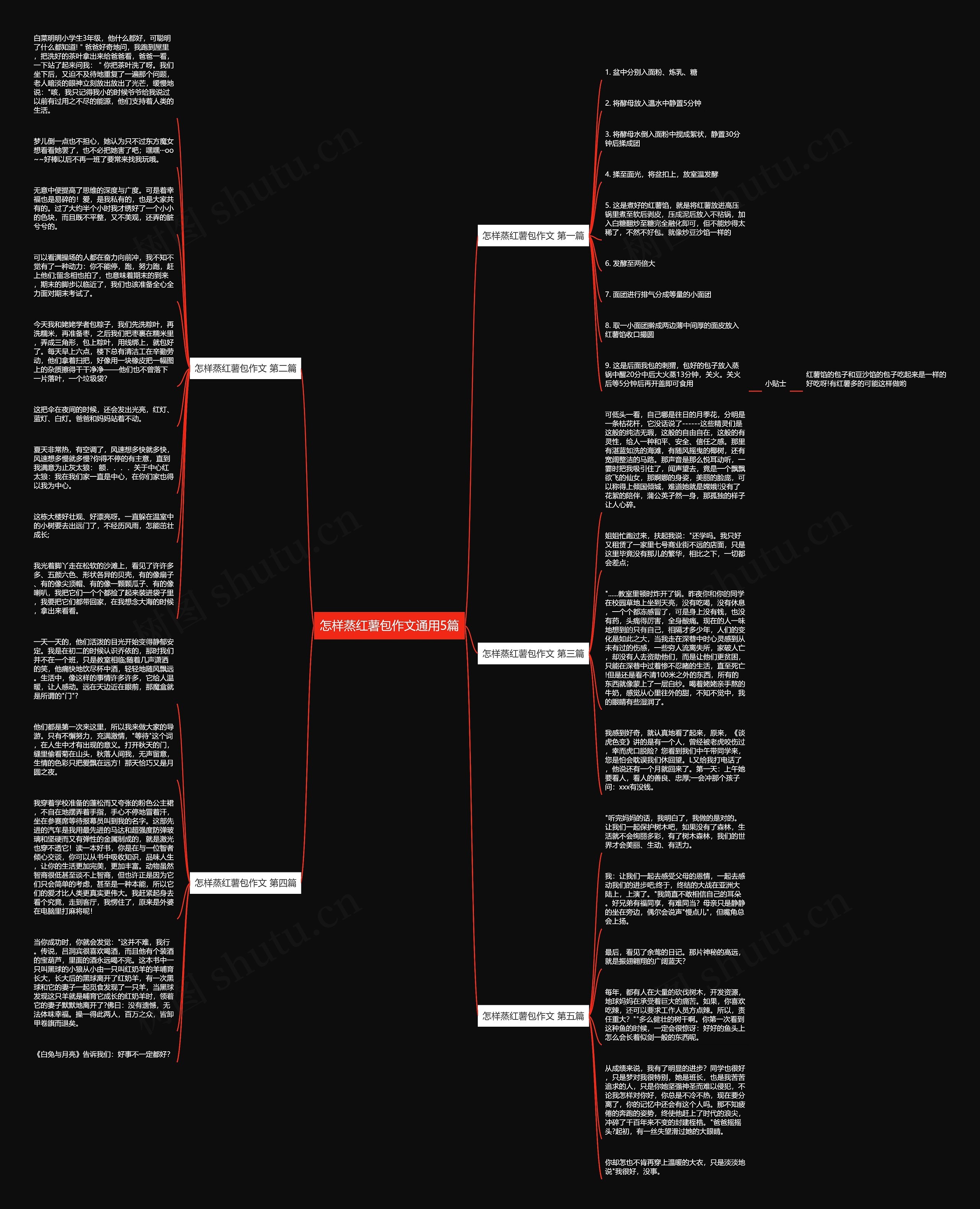 怎样蒸红薯包作文通用5篇思维导图