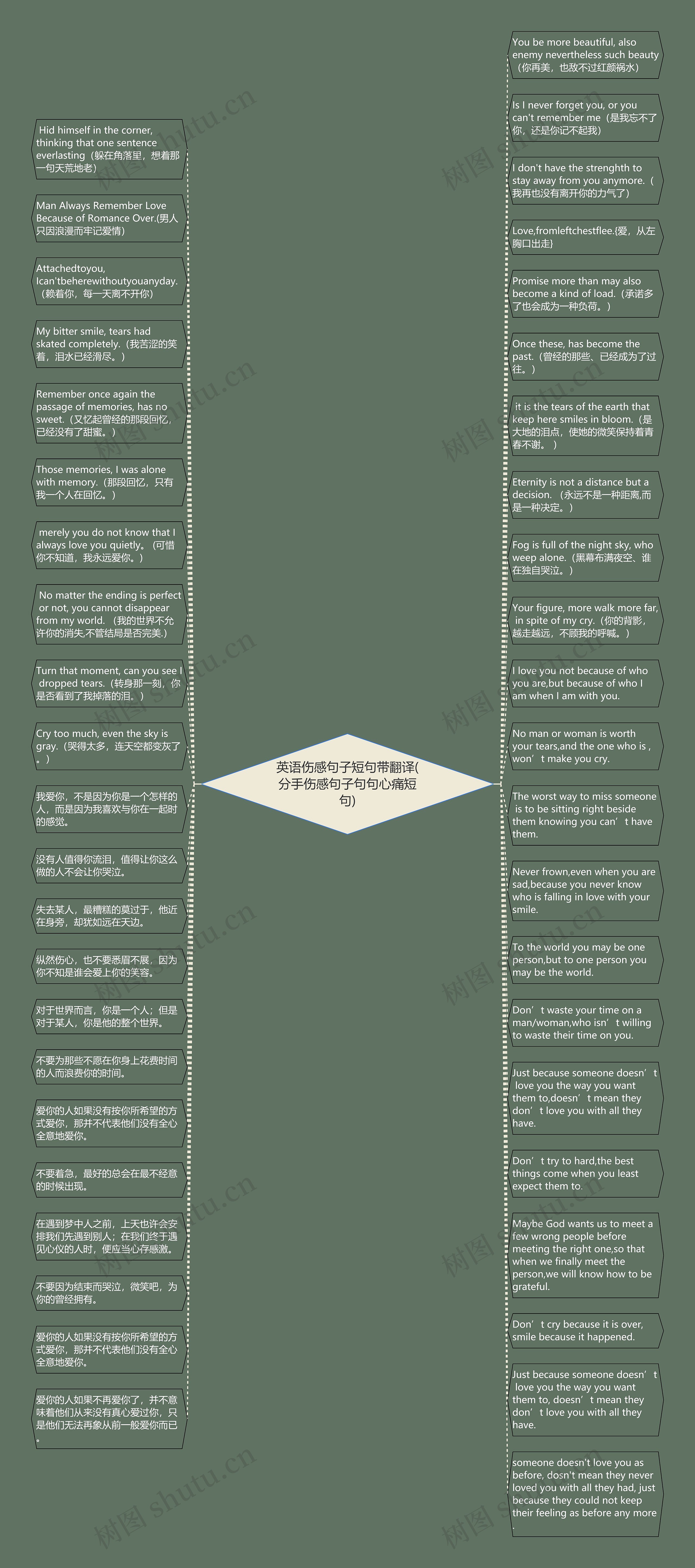 英语伤感句子短句带翻译(分手伤感句子句句心痛短句)