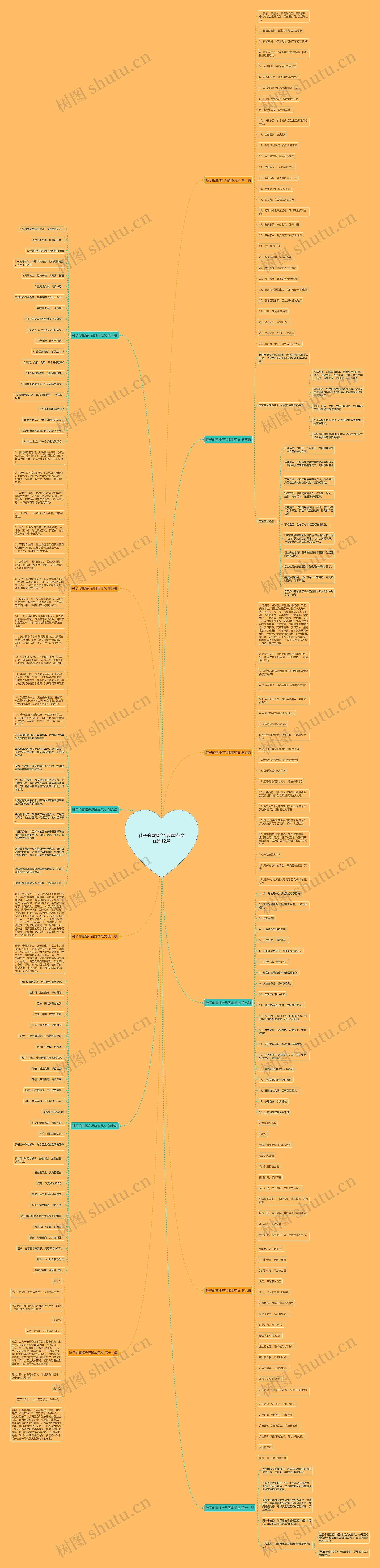 鞋子的直播产品脚本范文优选12篇思维导图