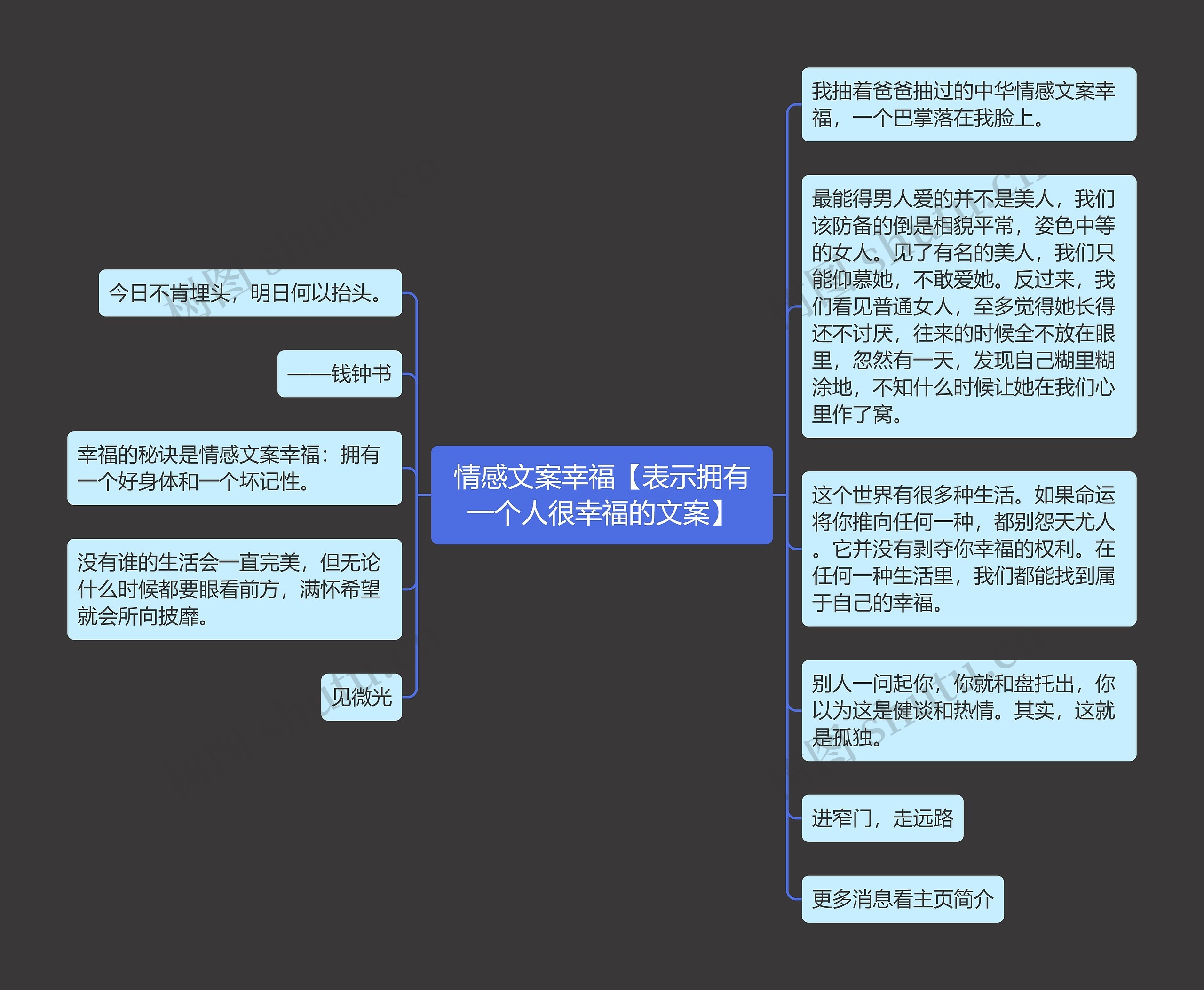 情感文案幸福【表示拥有一个人很幸福的文案】思维导图