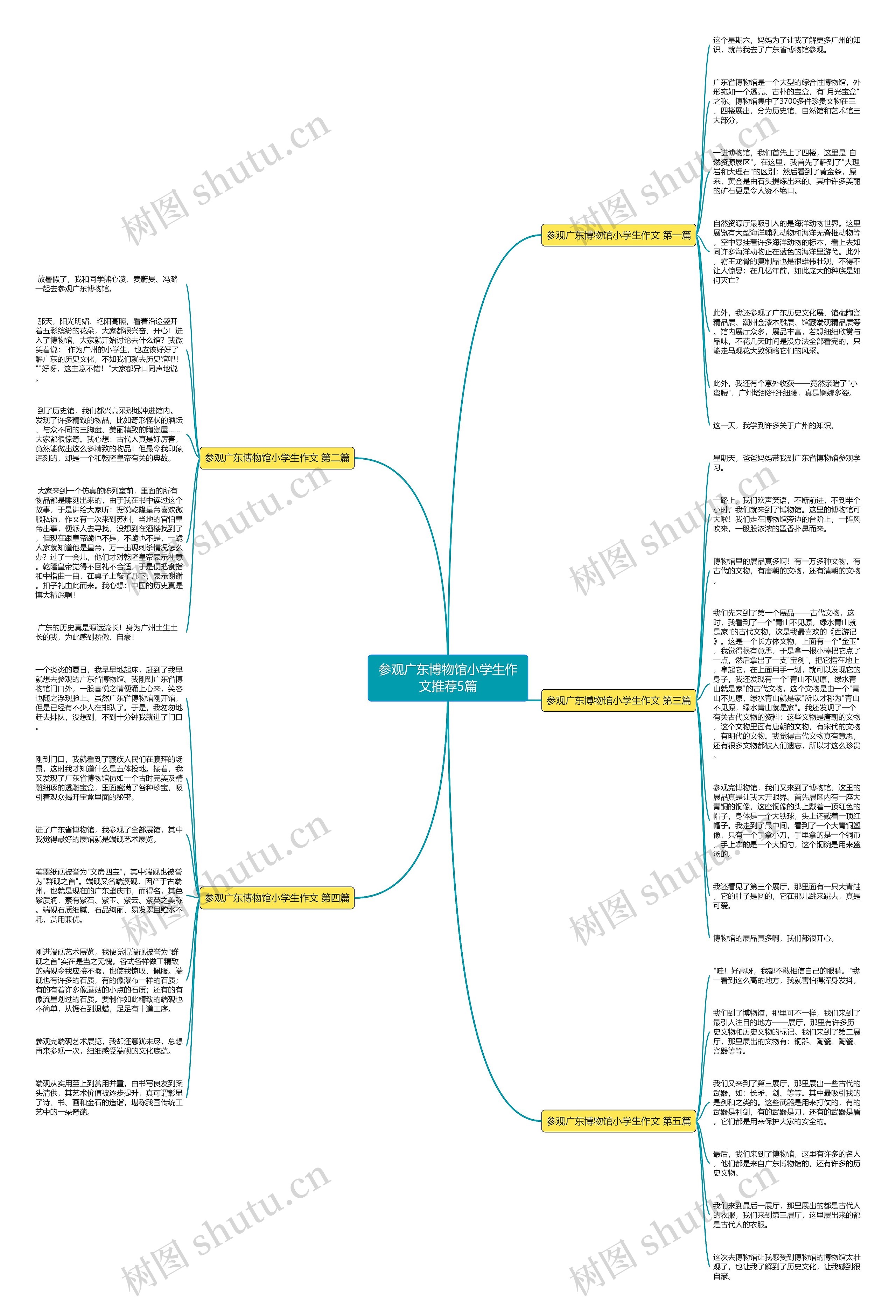 参观广东博物馆小学生作文推荐5篇思维导图