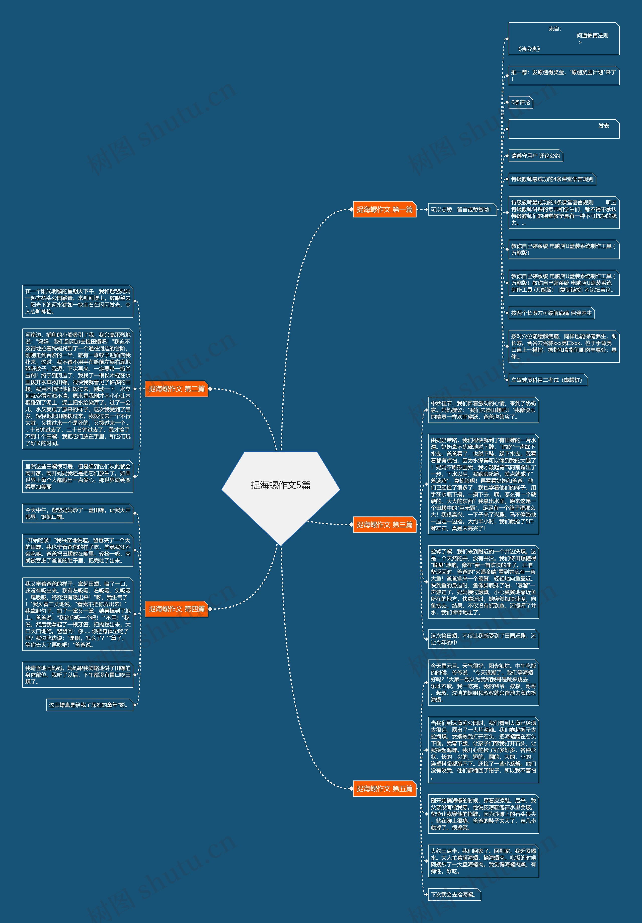 捉海螺作文5篇思维导图