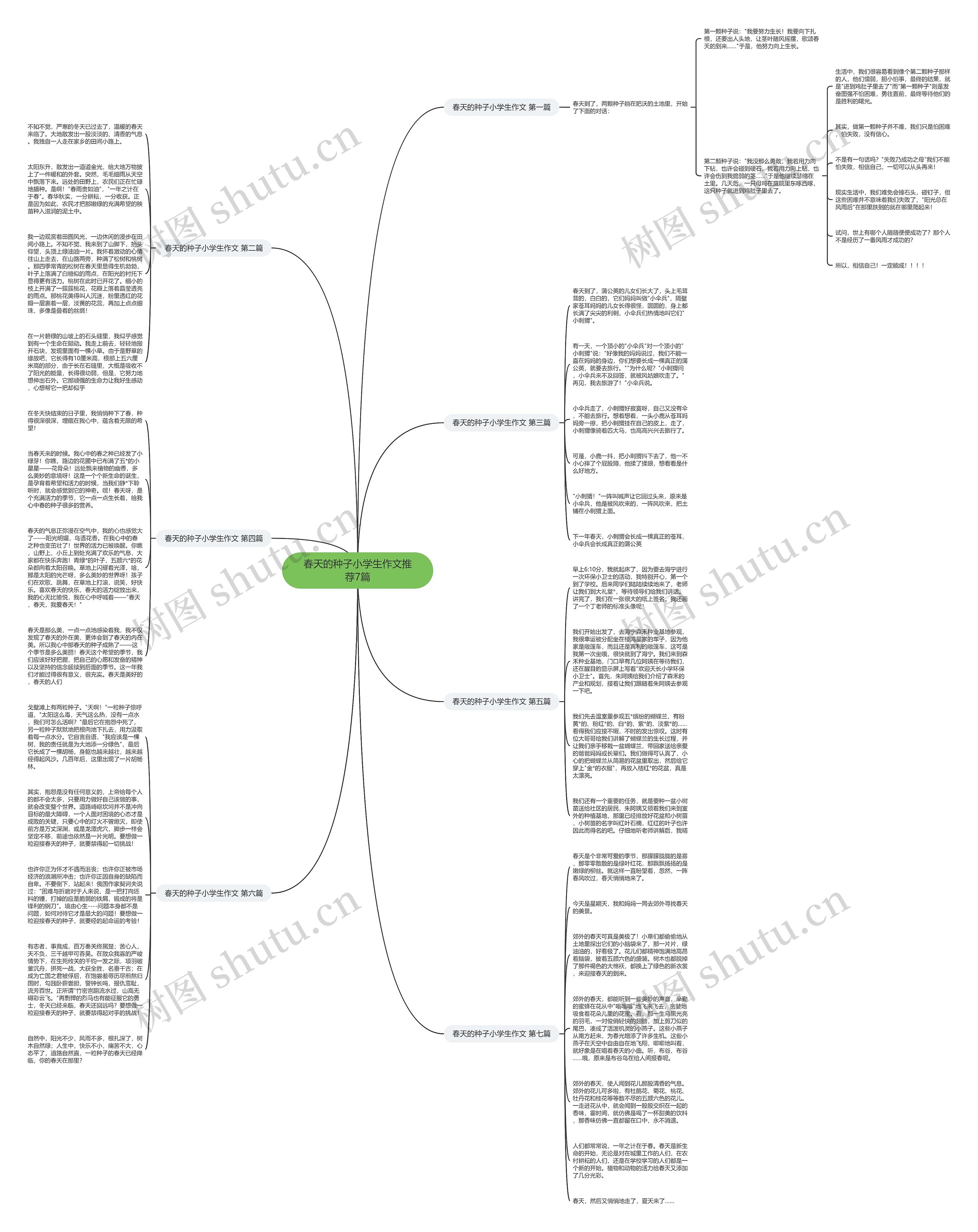 春天的种子小学生作文推荐7篇思维导图