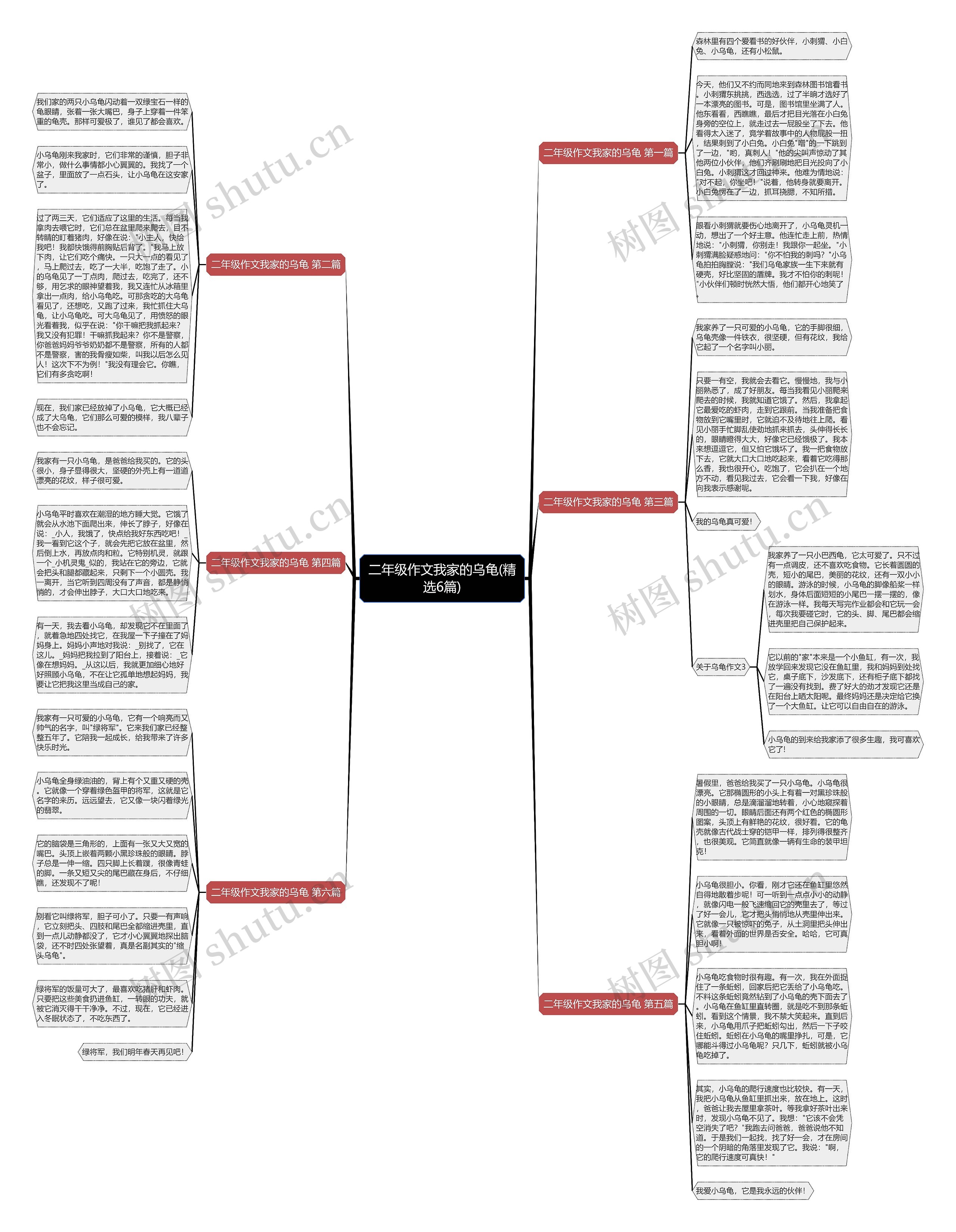 二年级作文我家的乌龟(精选6篇)思维导图