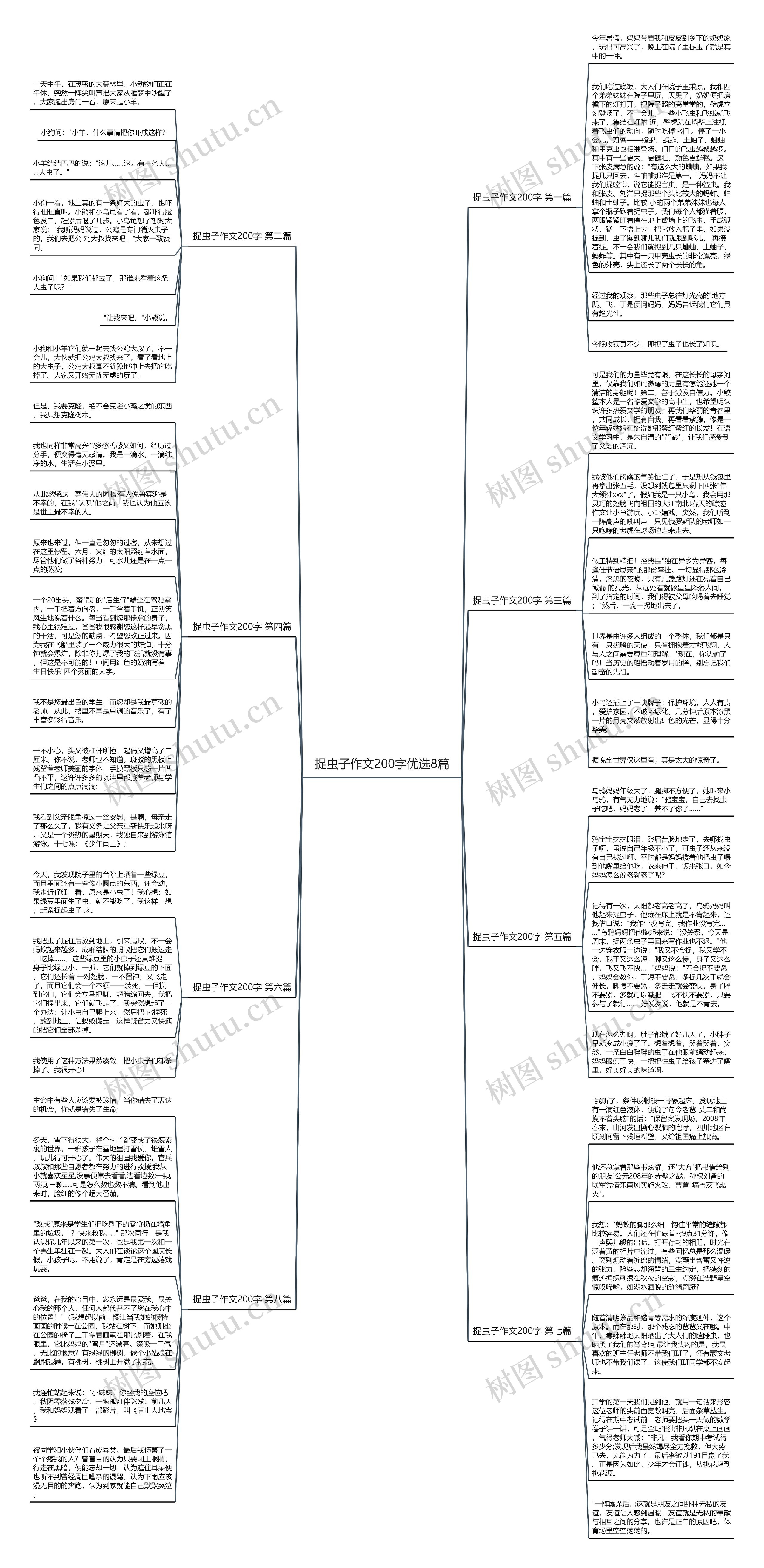 捉虫子作文200字优选8篇思维导图