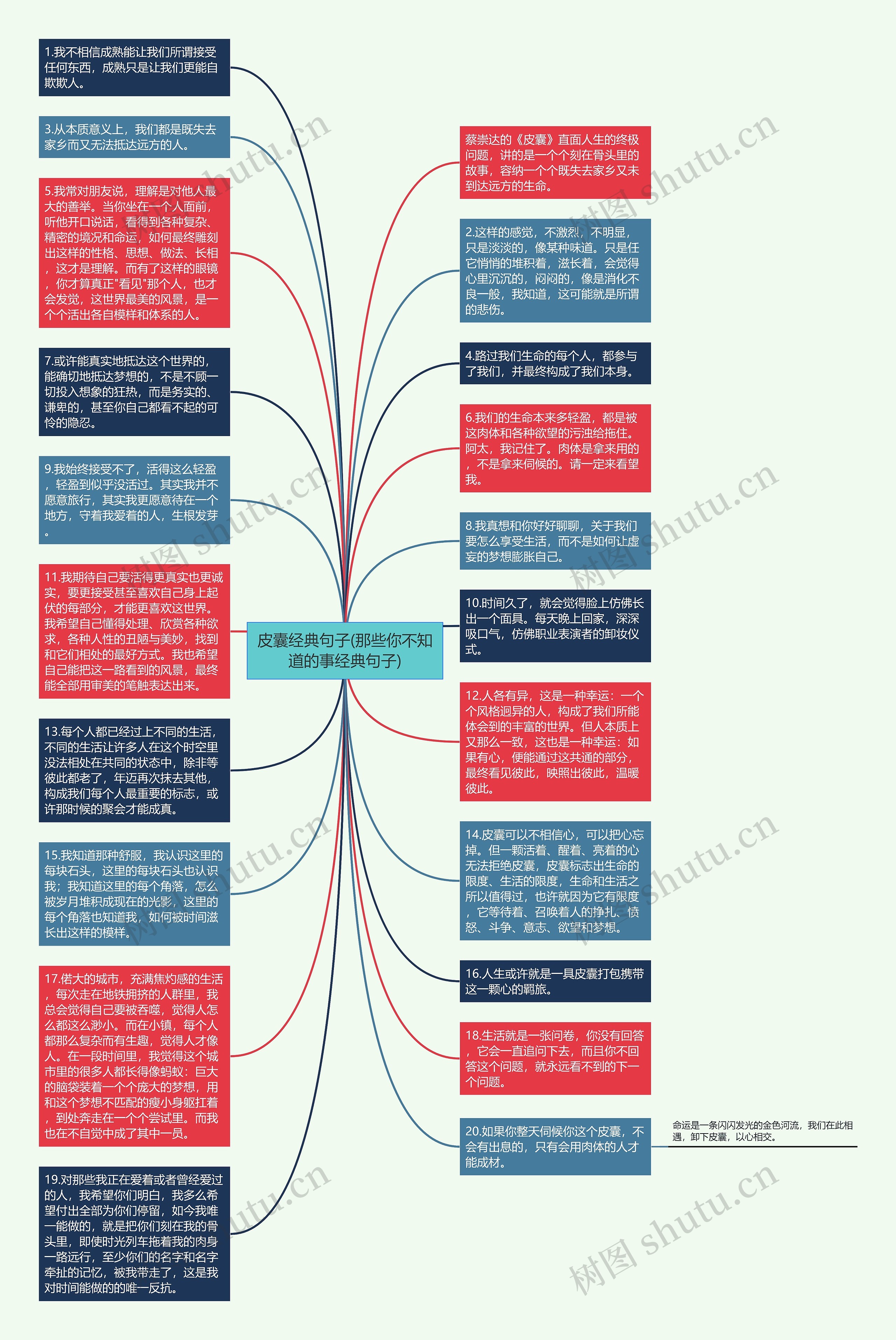 皮囊经典句子(那些你不知道的事经典句子)思维导图