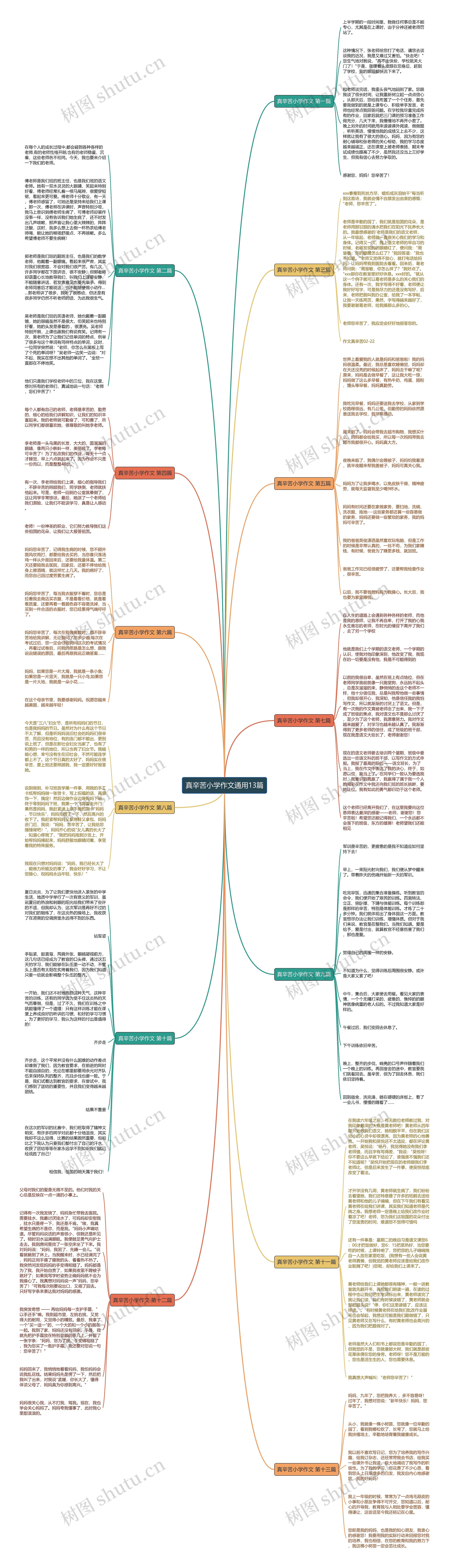真辛苦小学作文通用13篇思维导图